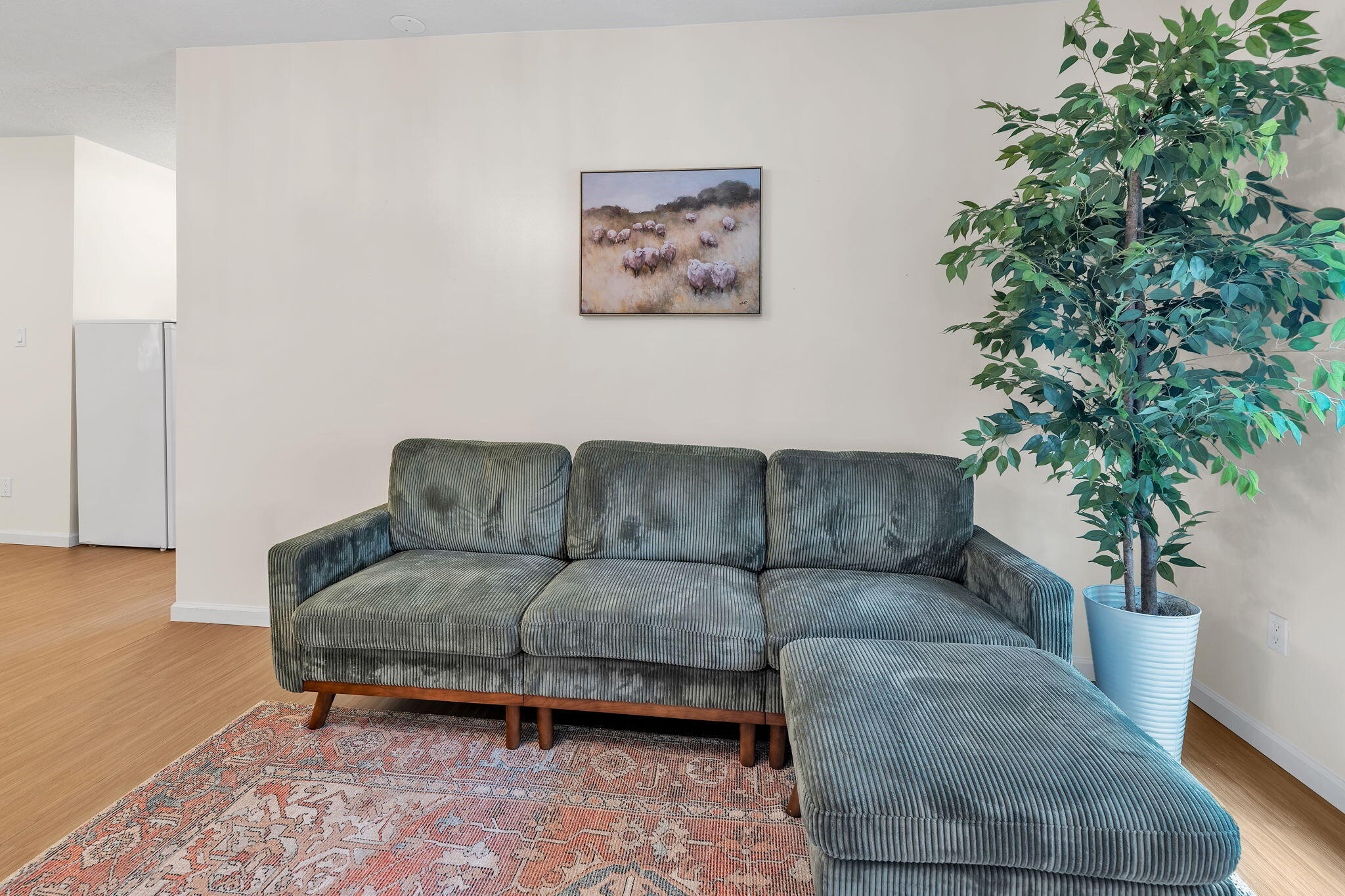 2707 Floral Road NW
