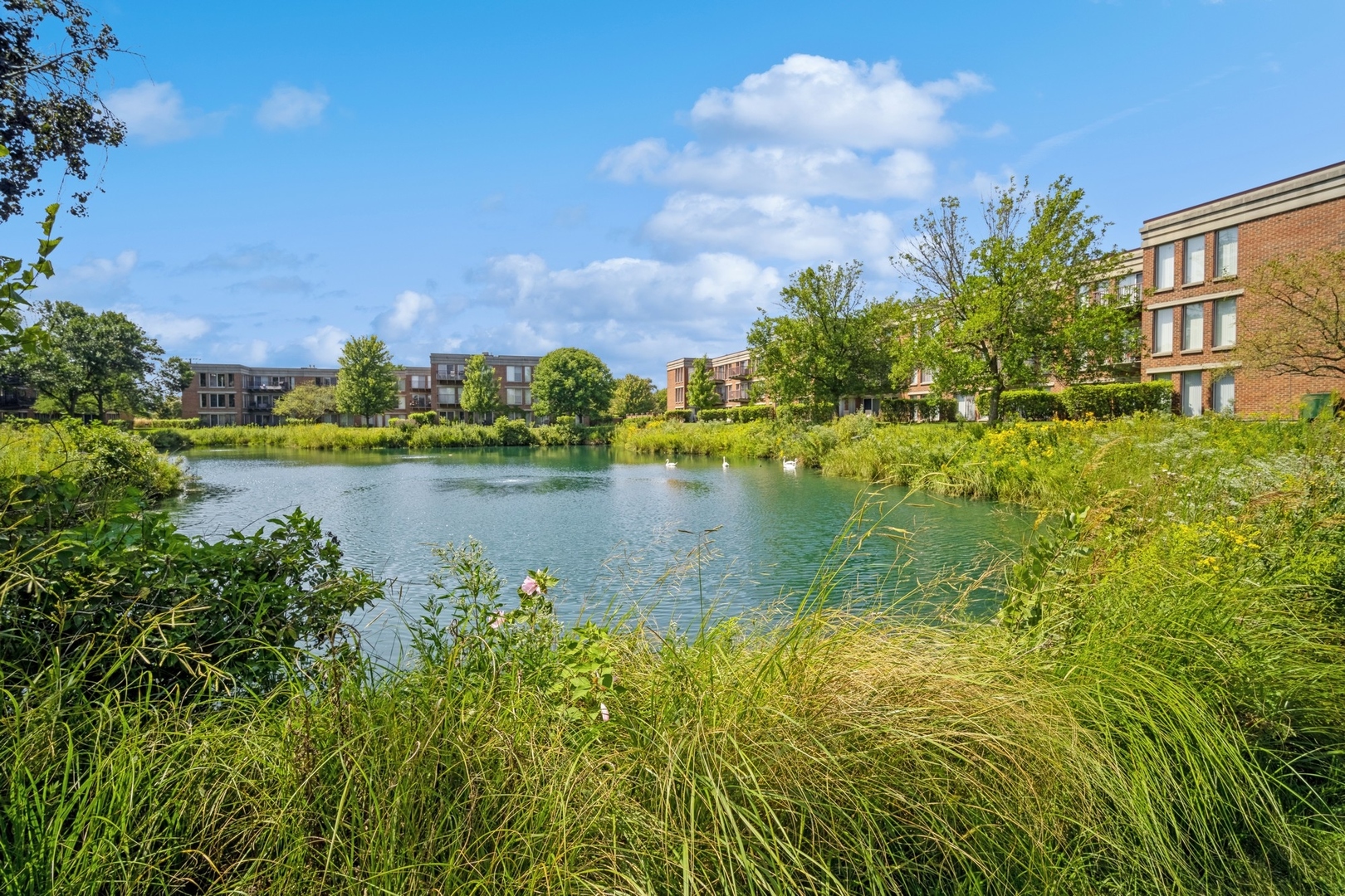 402 Kelburn Road Unit: 221