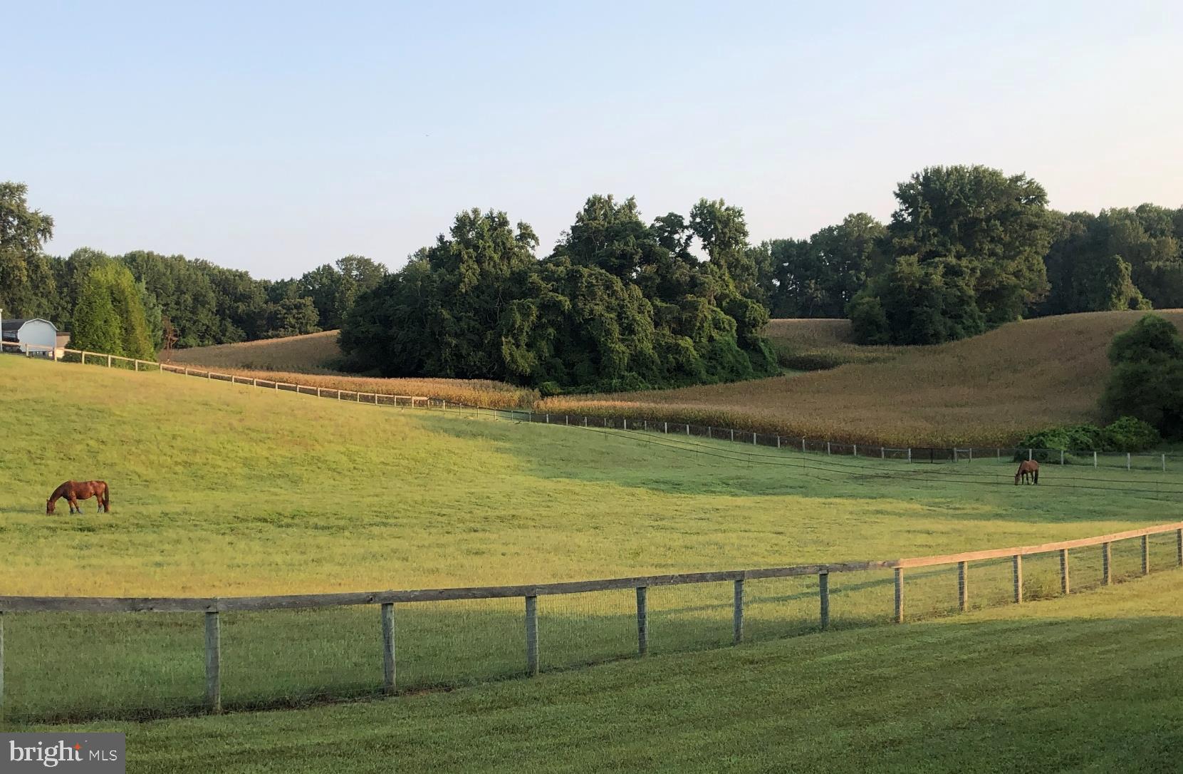 348 South River Clubhouse Rd