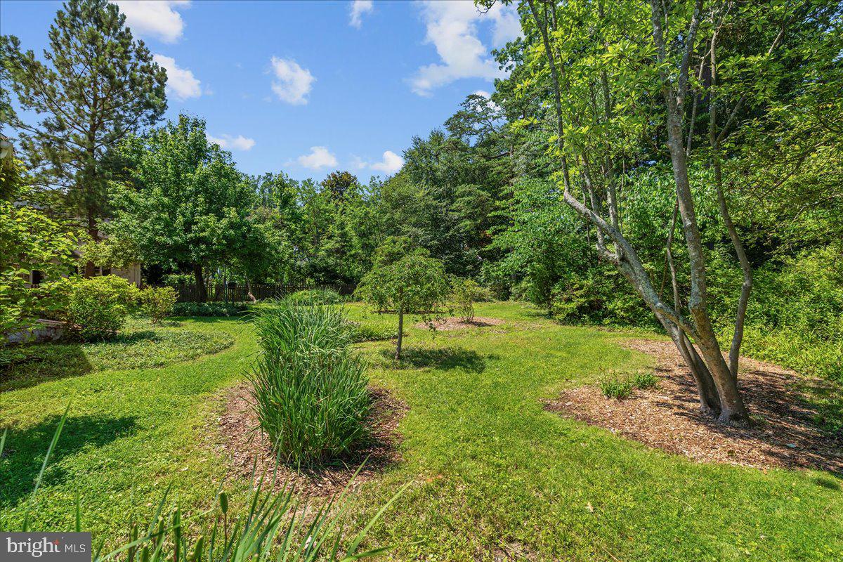 215 Wardour Dr