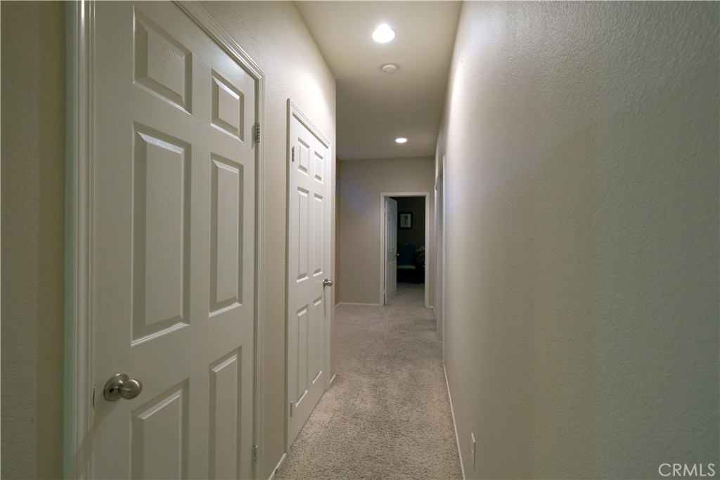 44638 Painted Desert