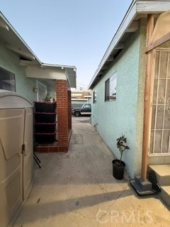 Narrow passage between buildings with a concrete walkway and potted plant.