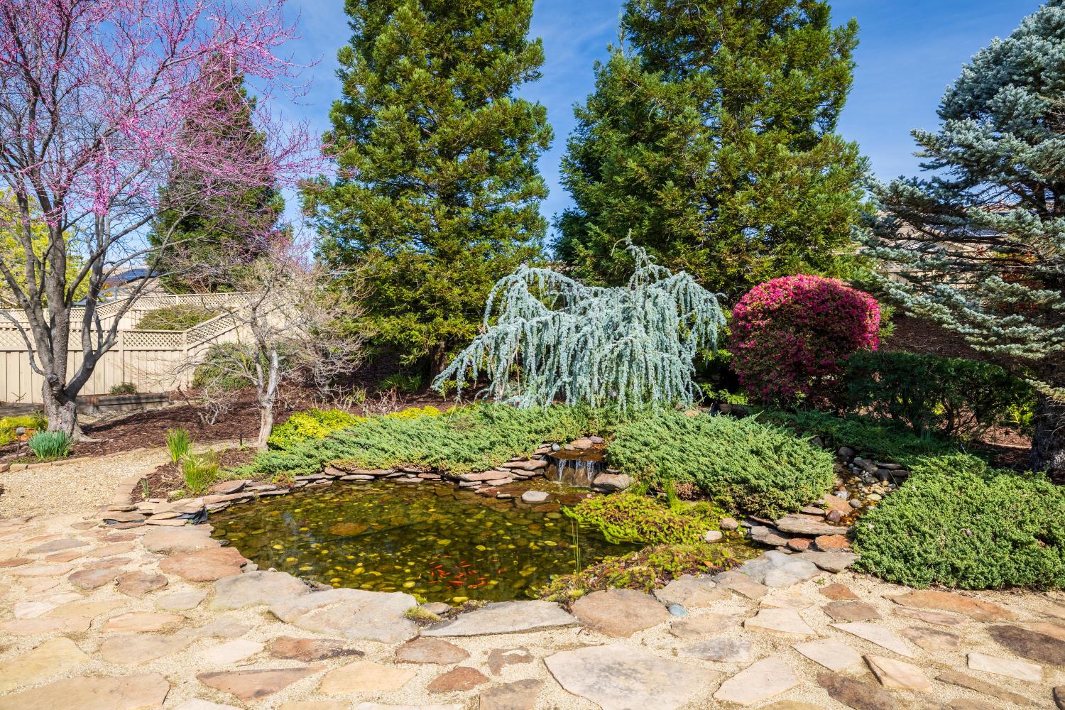 1995 Briarcliff Lane