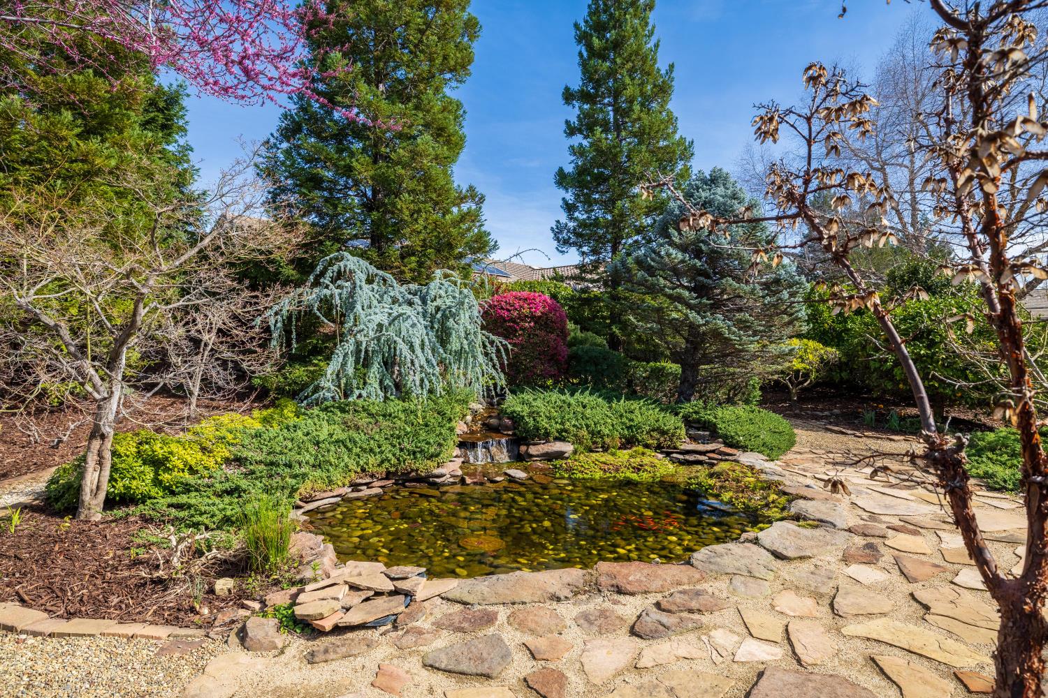 1995 Briarcliff Lane