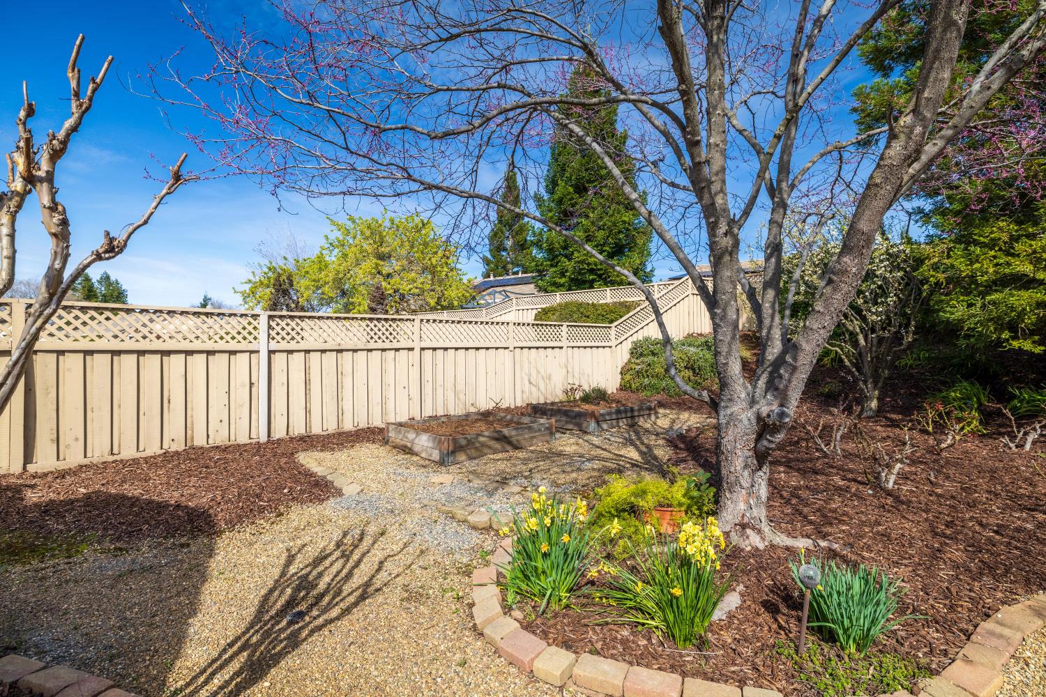 1995 Briarcliff Lane