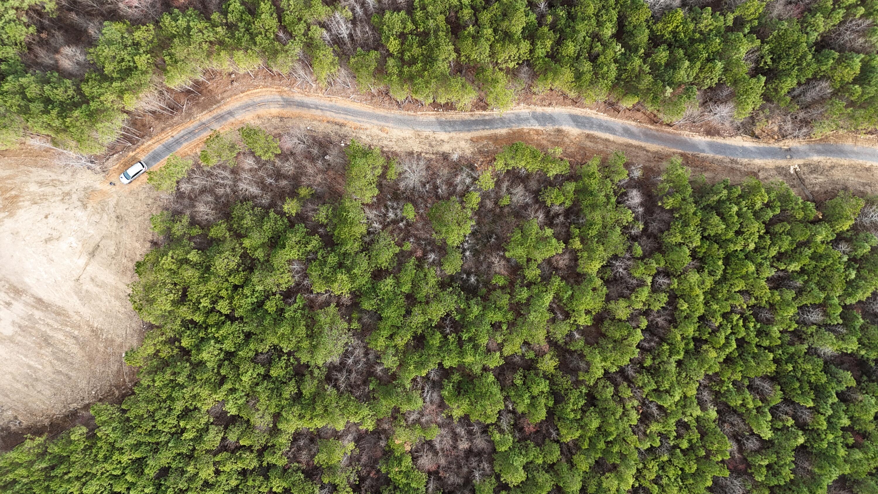 5802 Highway 151, LaFayette