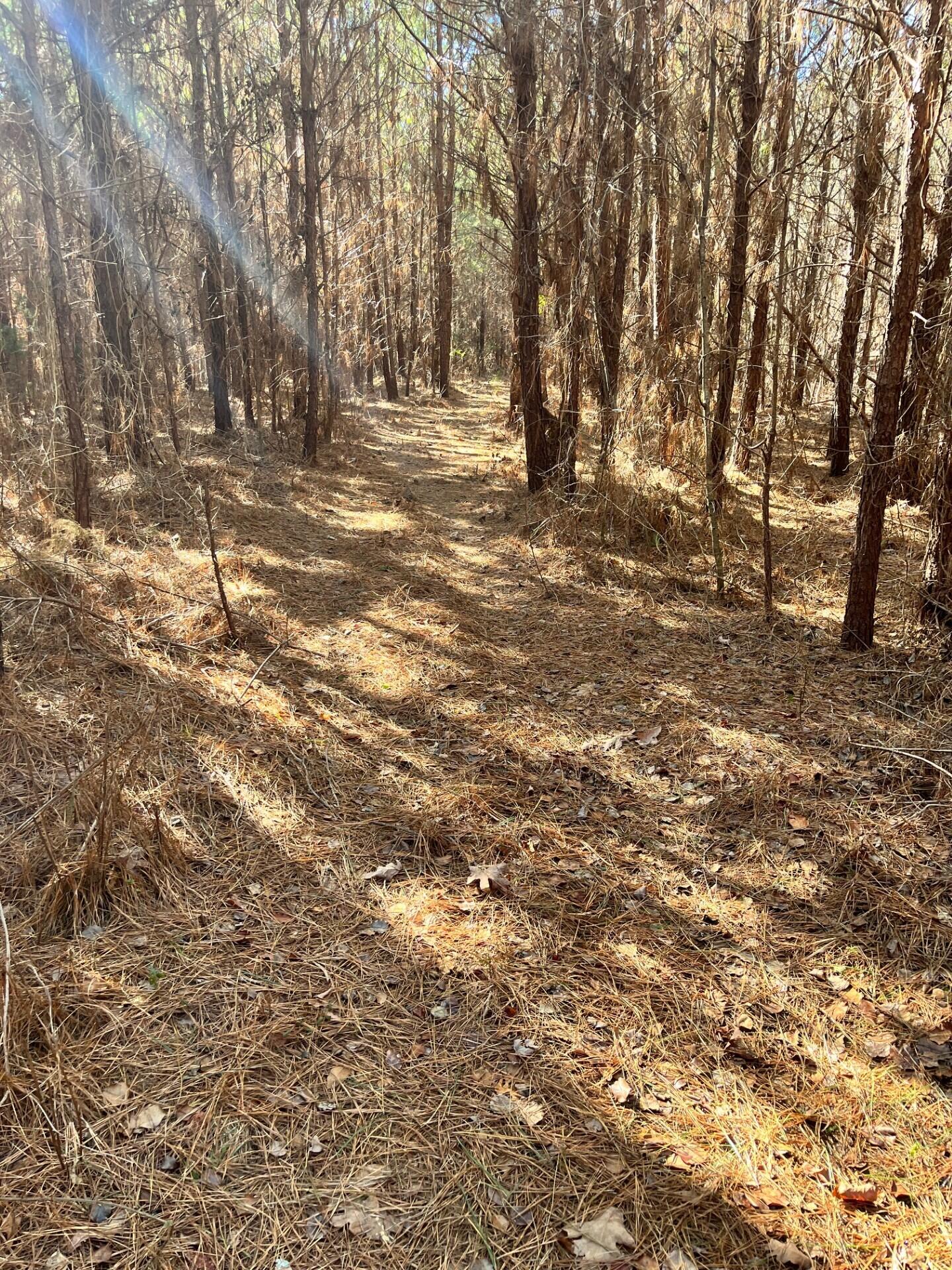 5802 Highway 151, LaFayette