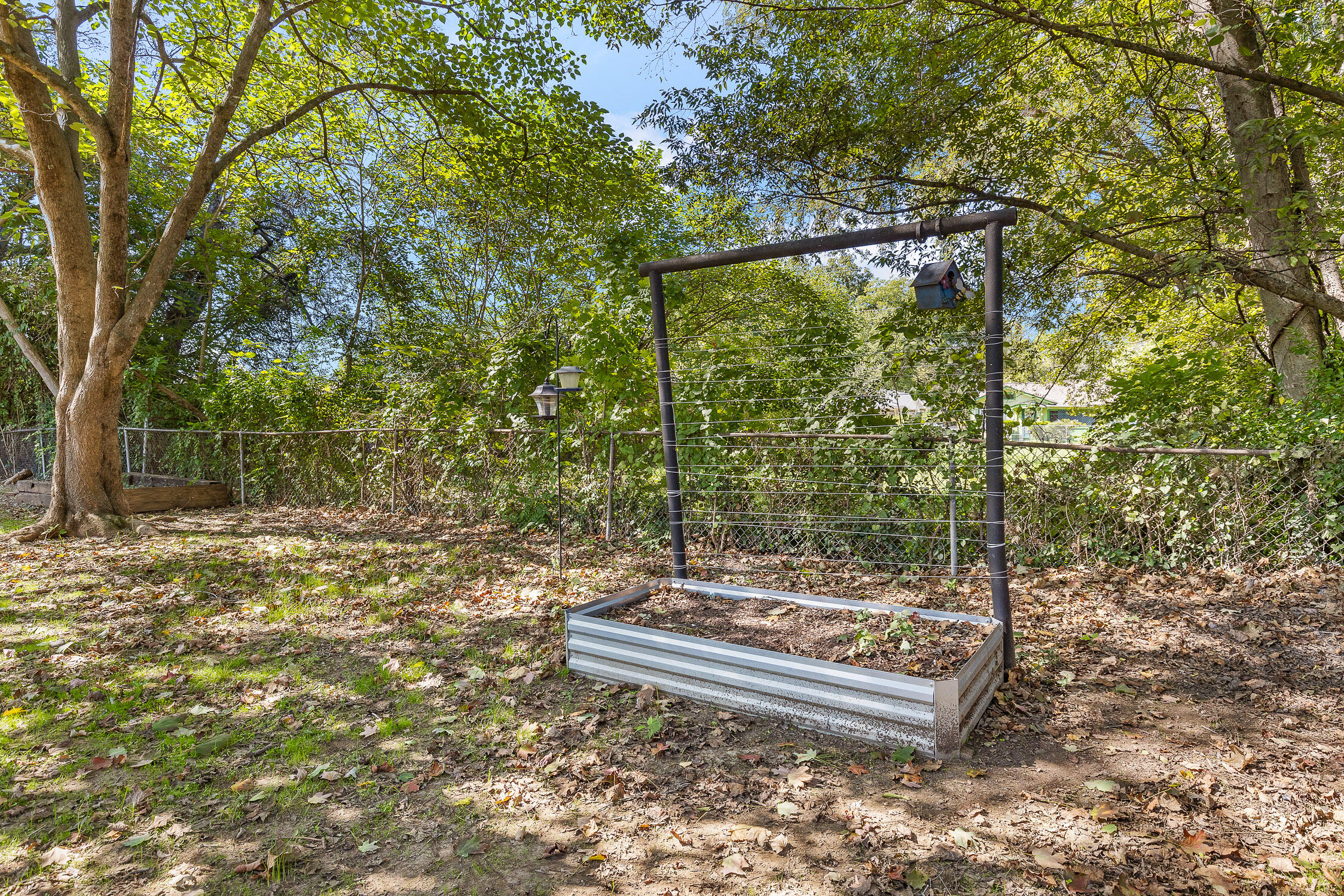 1101 N Orchard Knob Avenue