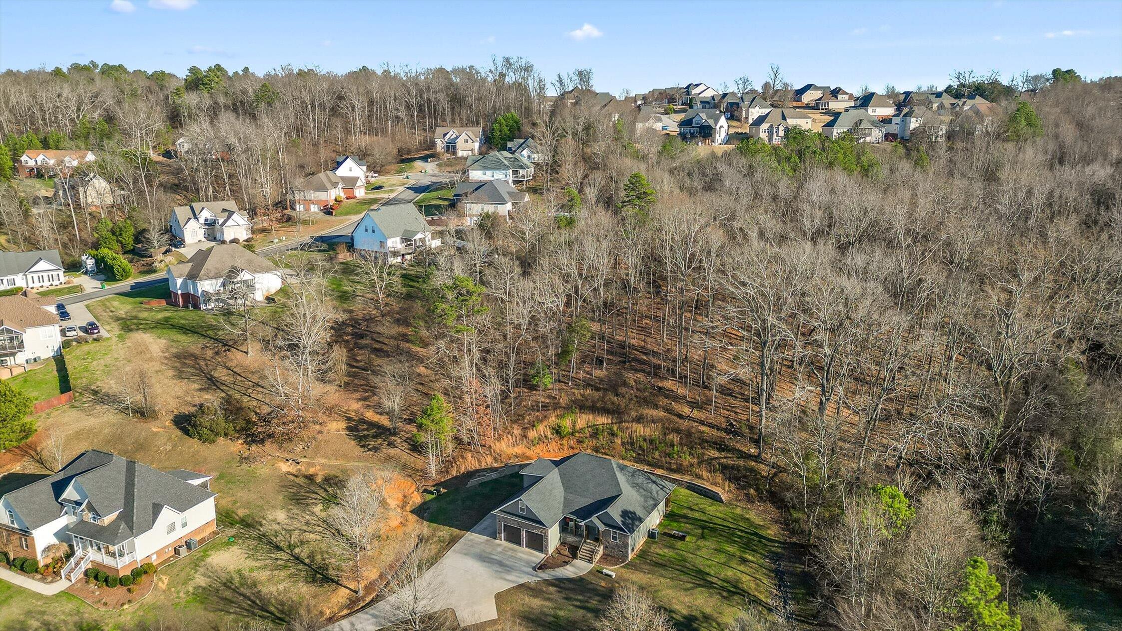 68 Buster Ridge Lane