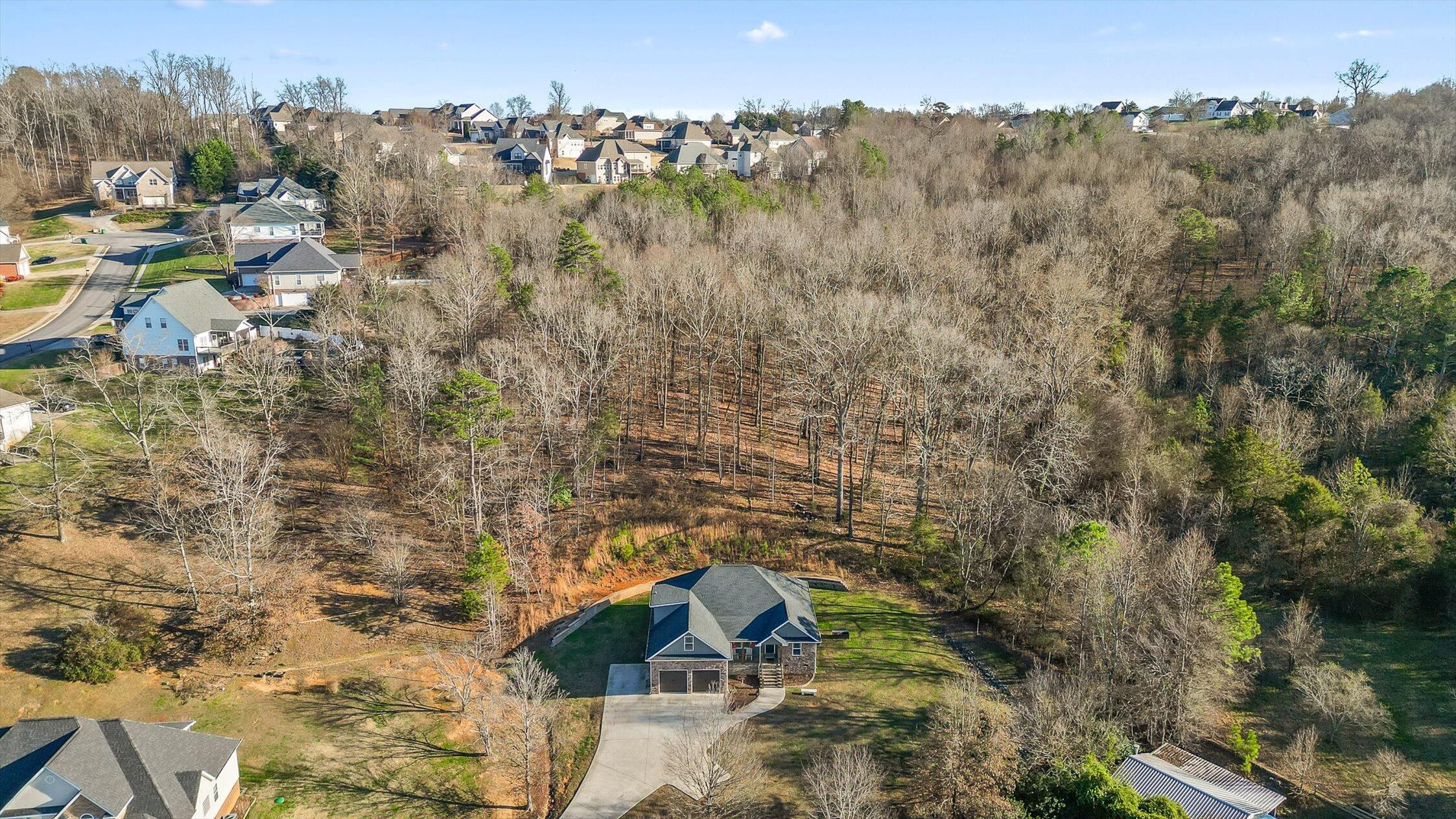 68 Buster Ridge Lane