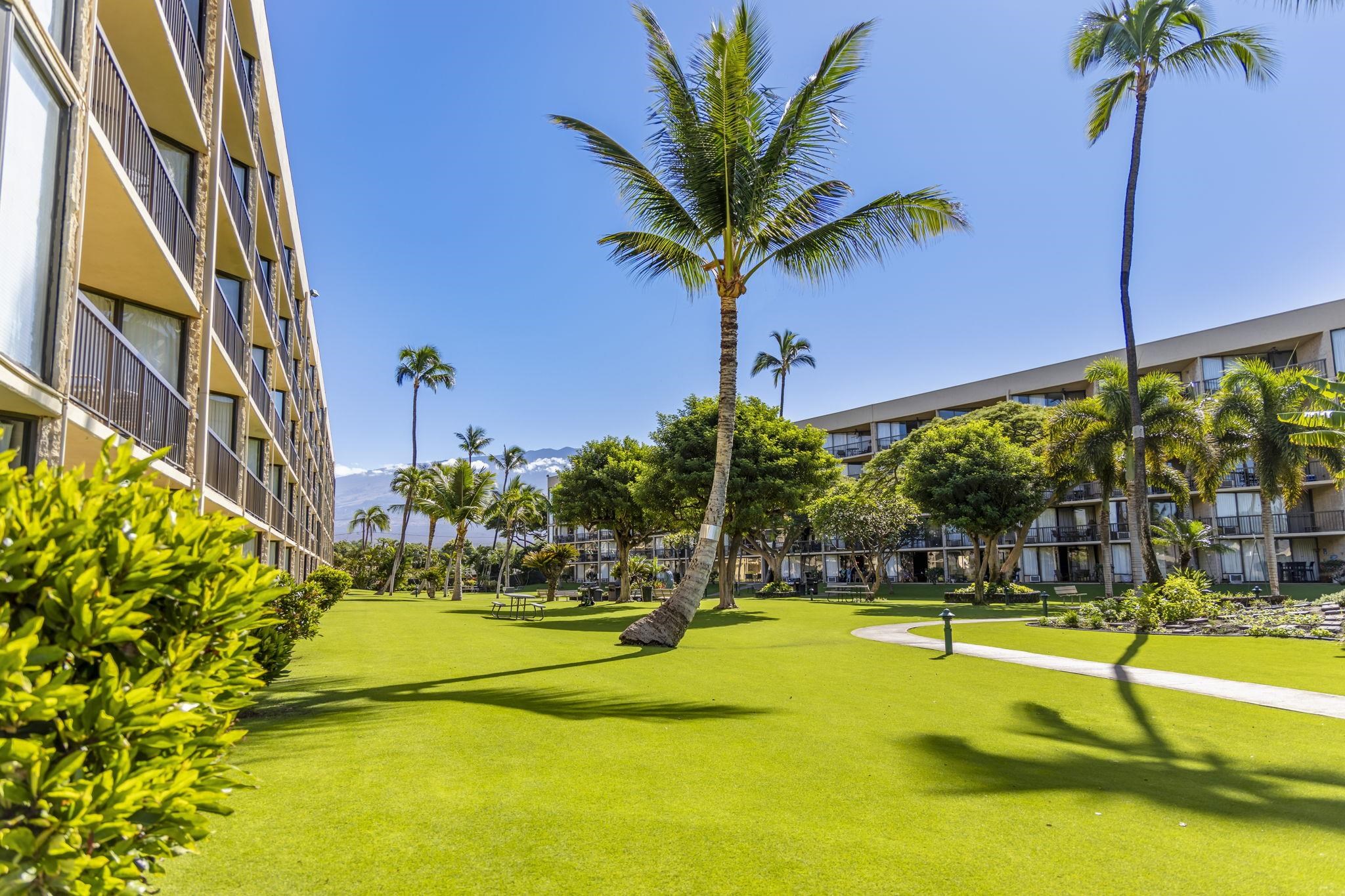 1032 S Kihei Rd Unit: A514