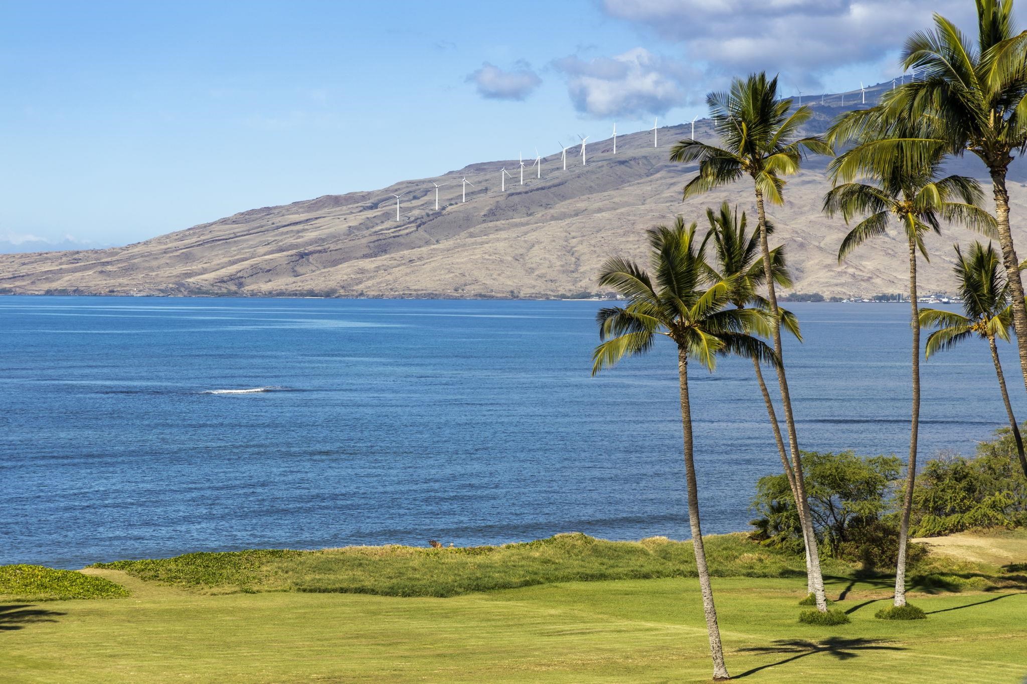 1032 S Kihei Rd Unit: A514