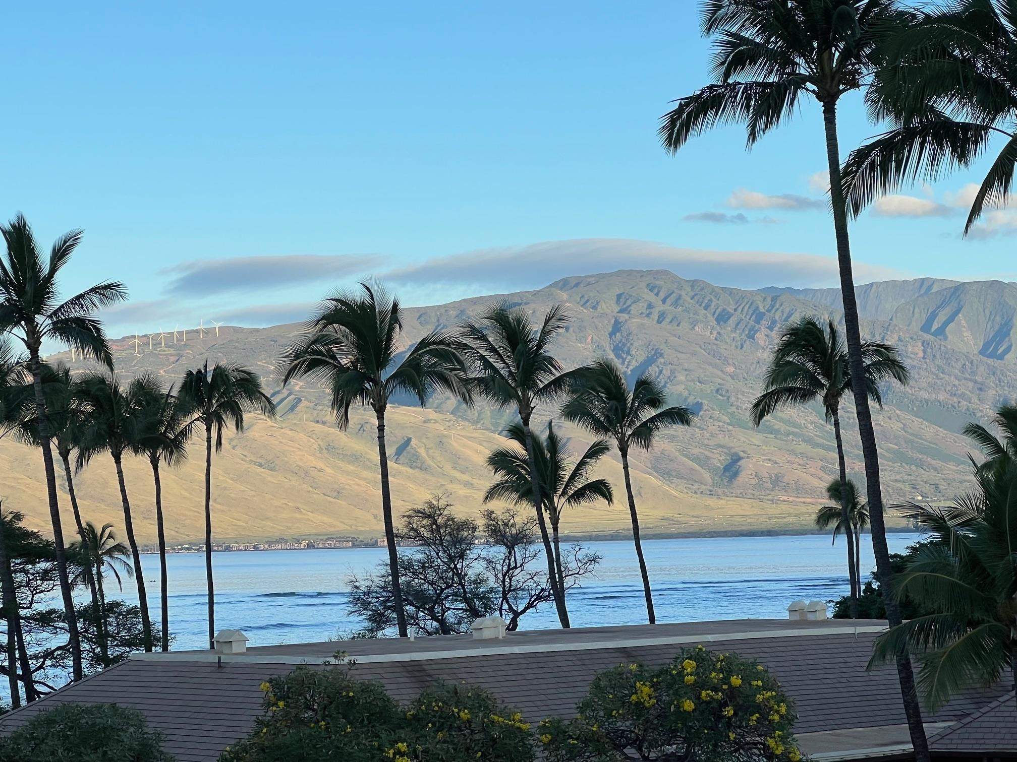 1032 S Kihei Rd Unit: A514