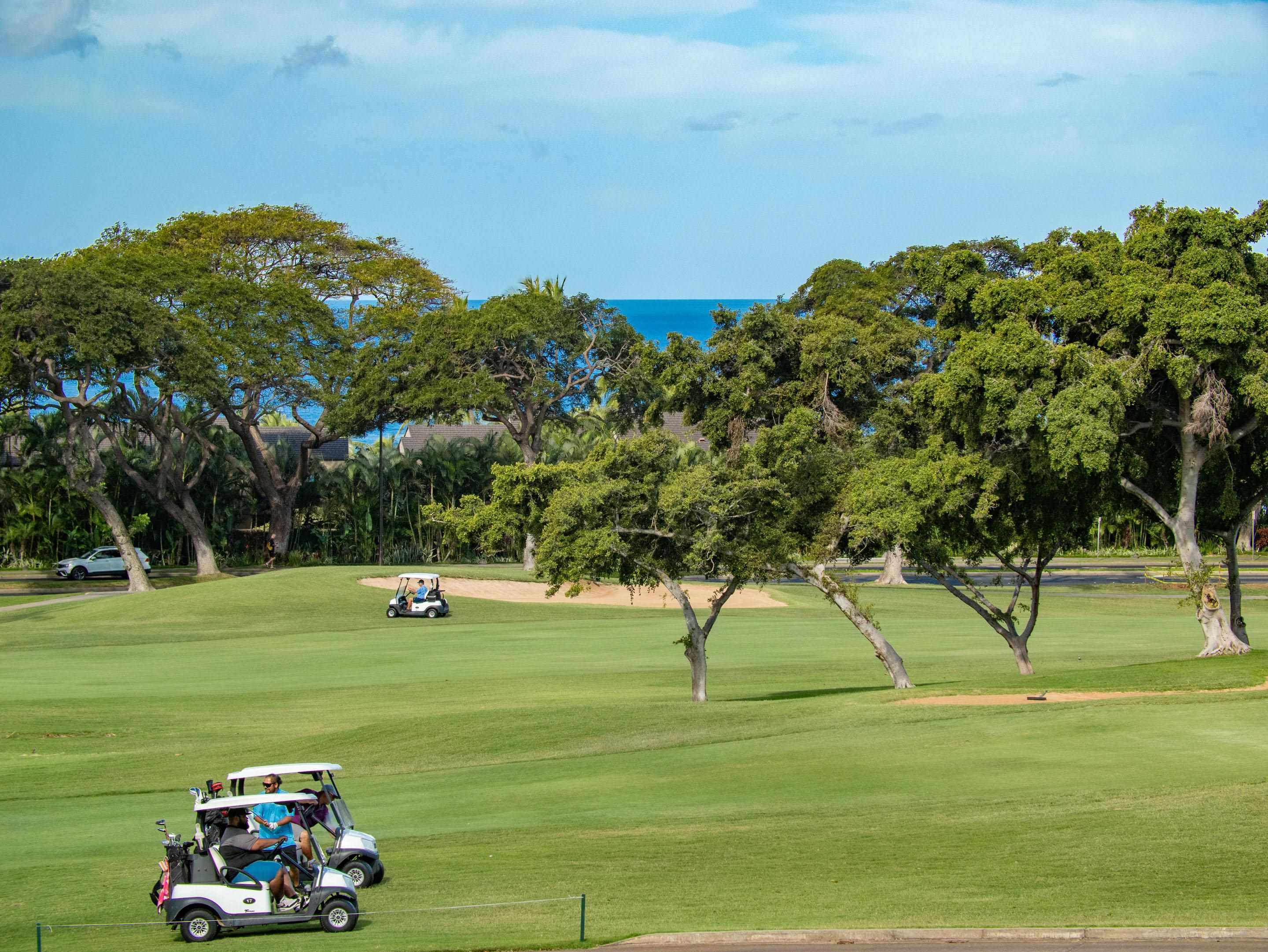 155 WAILEA IKE Pl Unit: 145