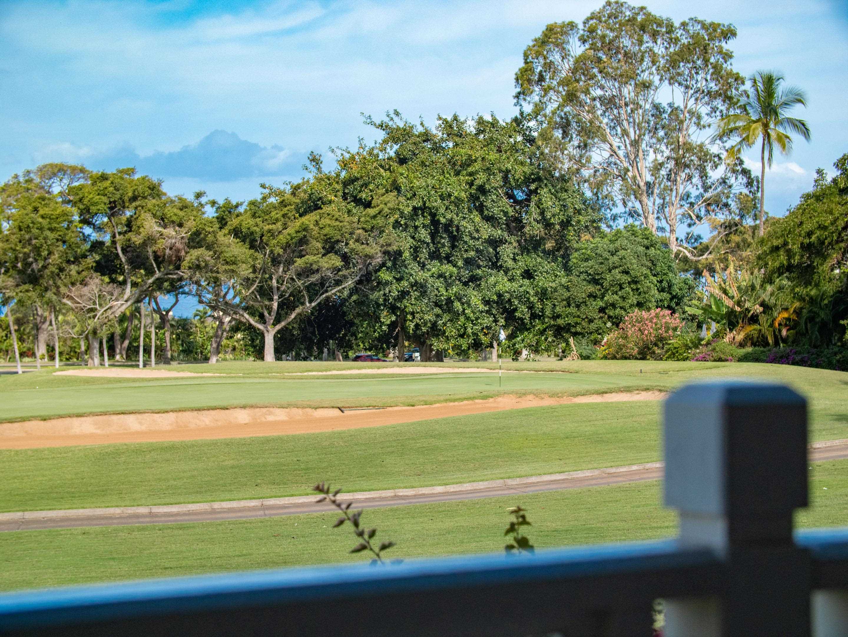 155 WAILEA IKE Pl Unit: 145