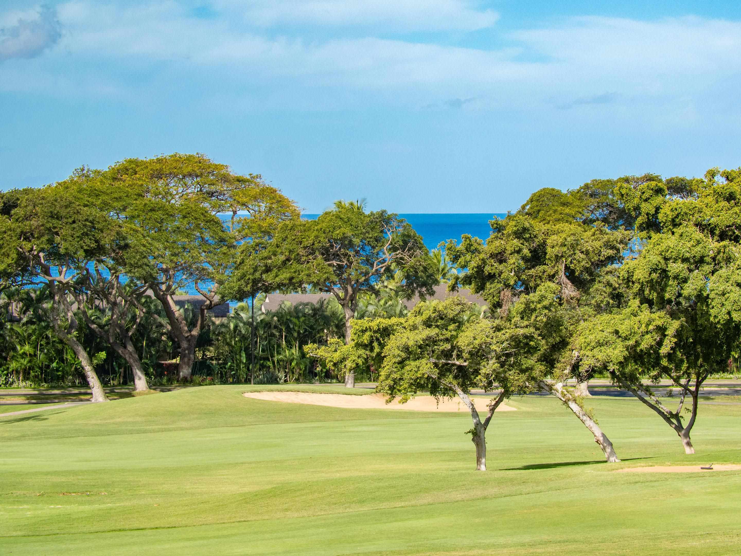 155 WAILEA IKE Pl Unit: 145