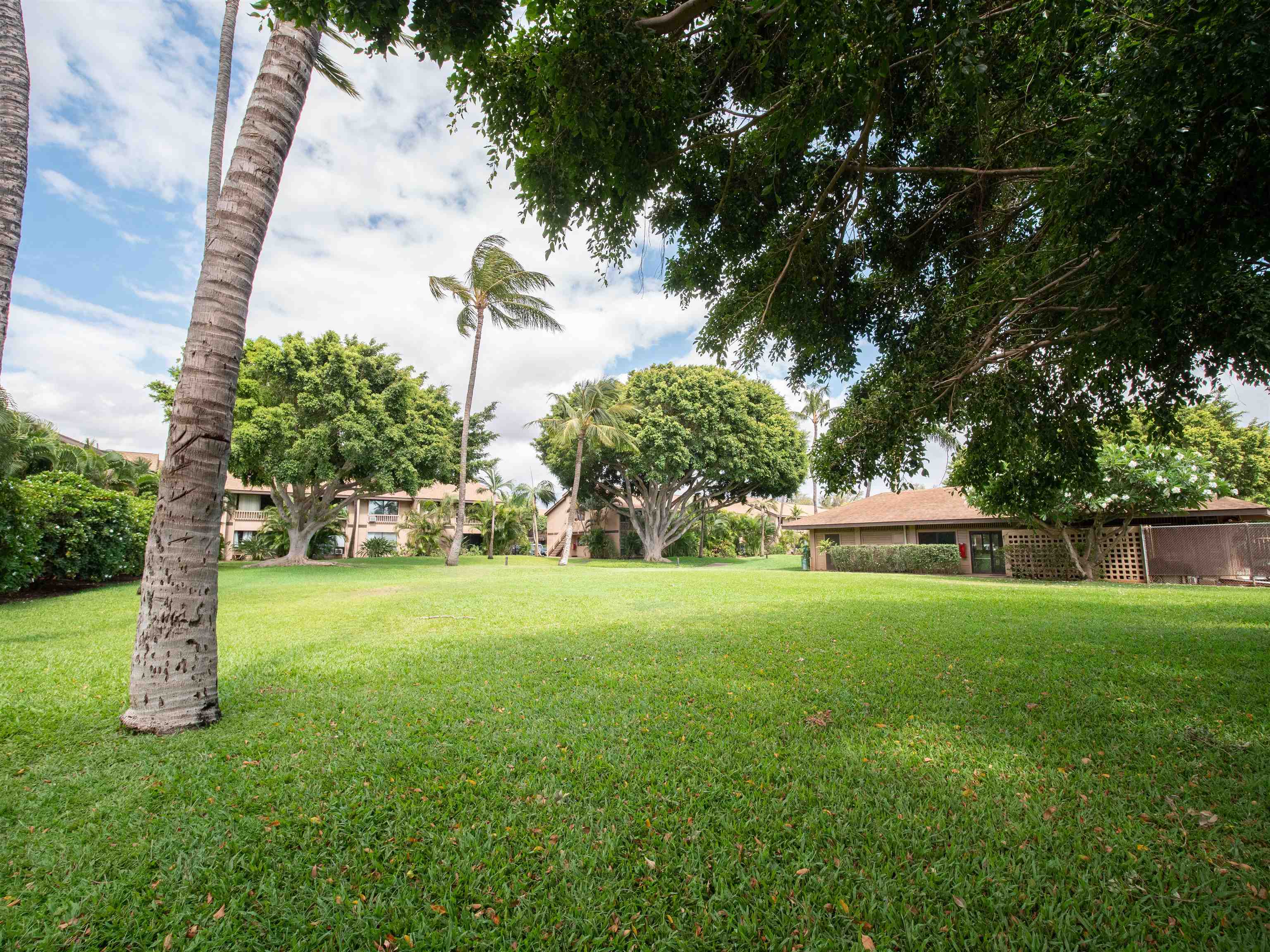 15 Kulanihakoi St Unit: 1H