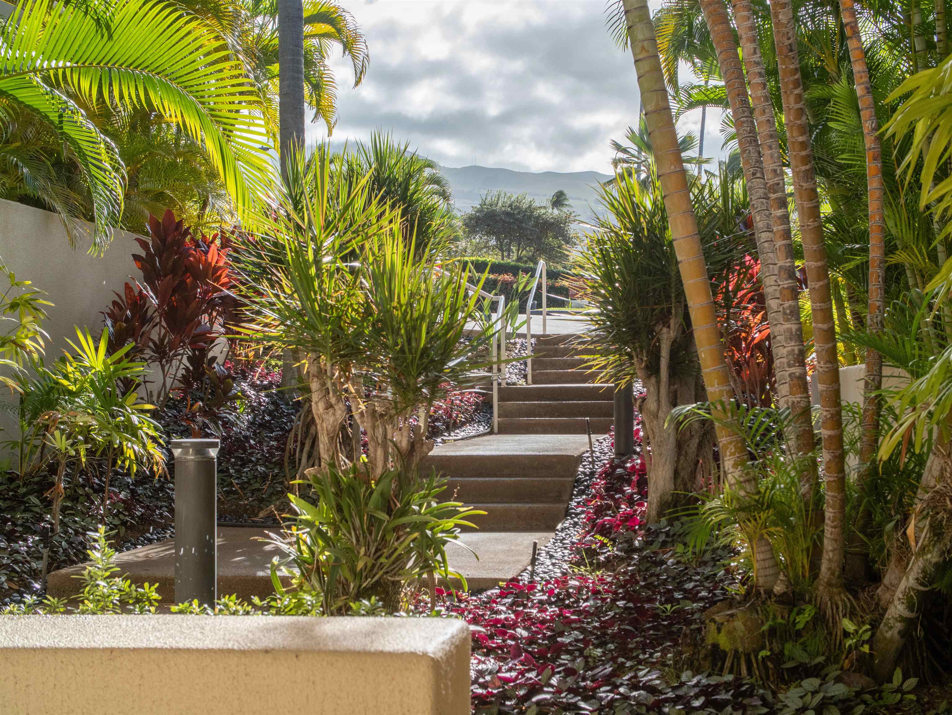 3150 WAILEA ALANUI Dr Unit: 3105