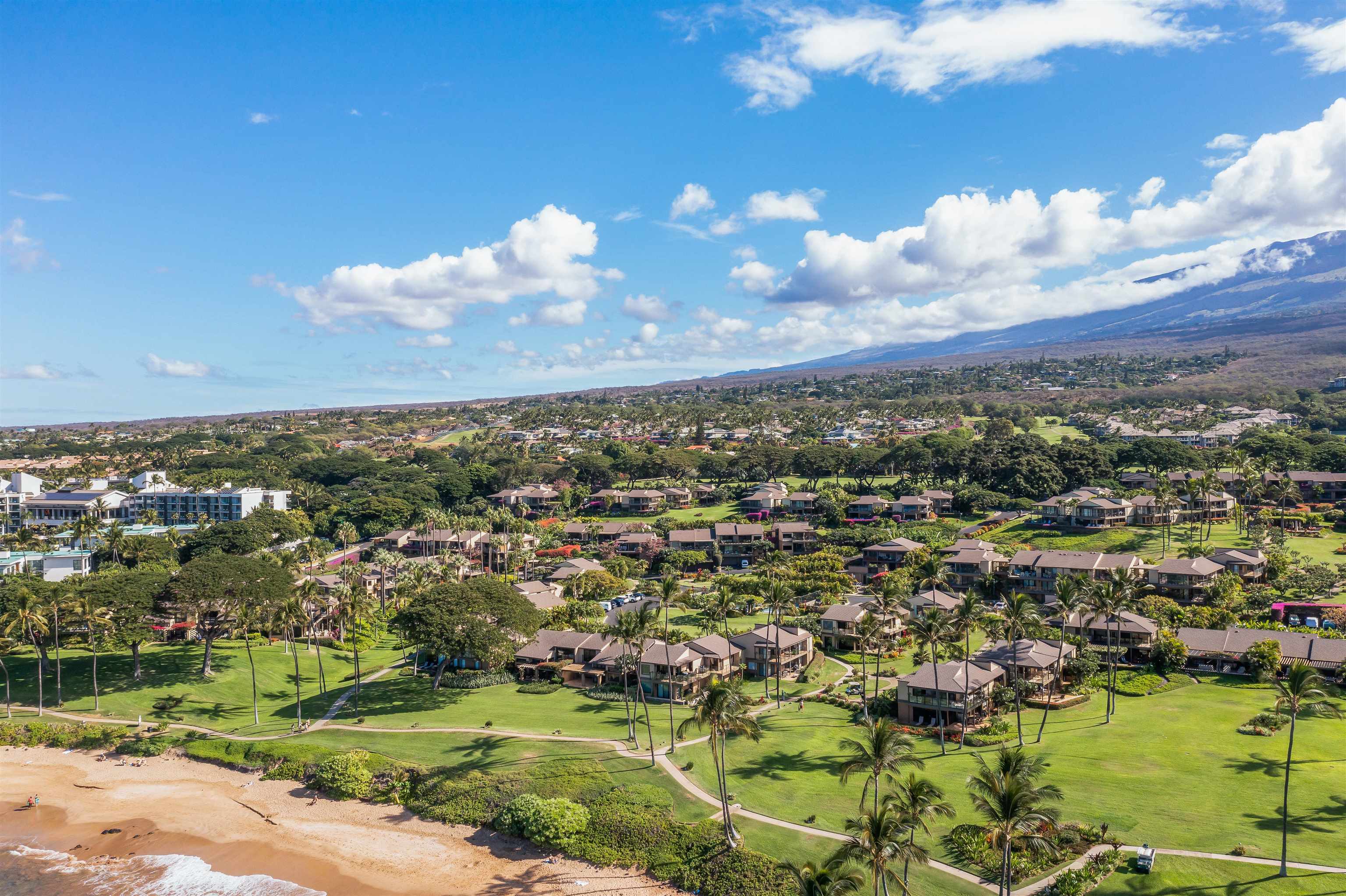 3600 WAILEA ALANUI Dr Unit: 2012
