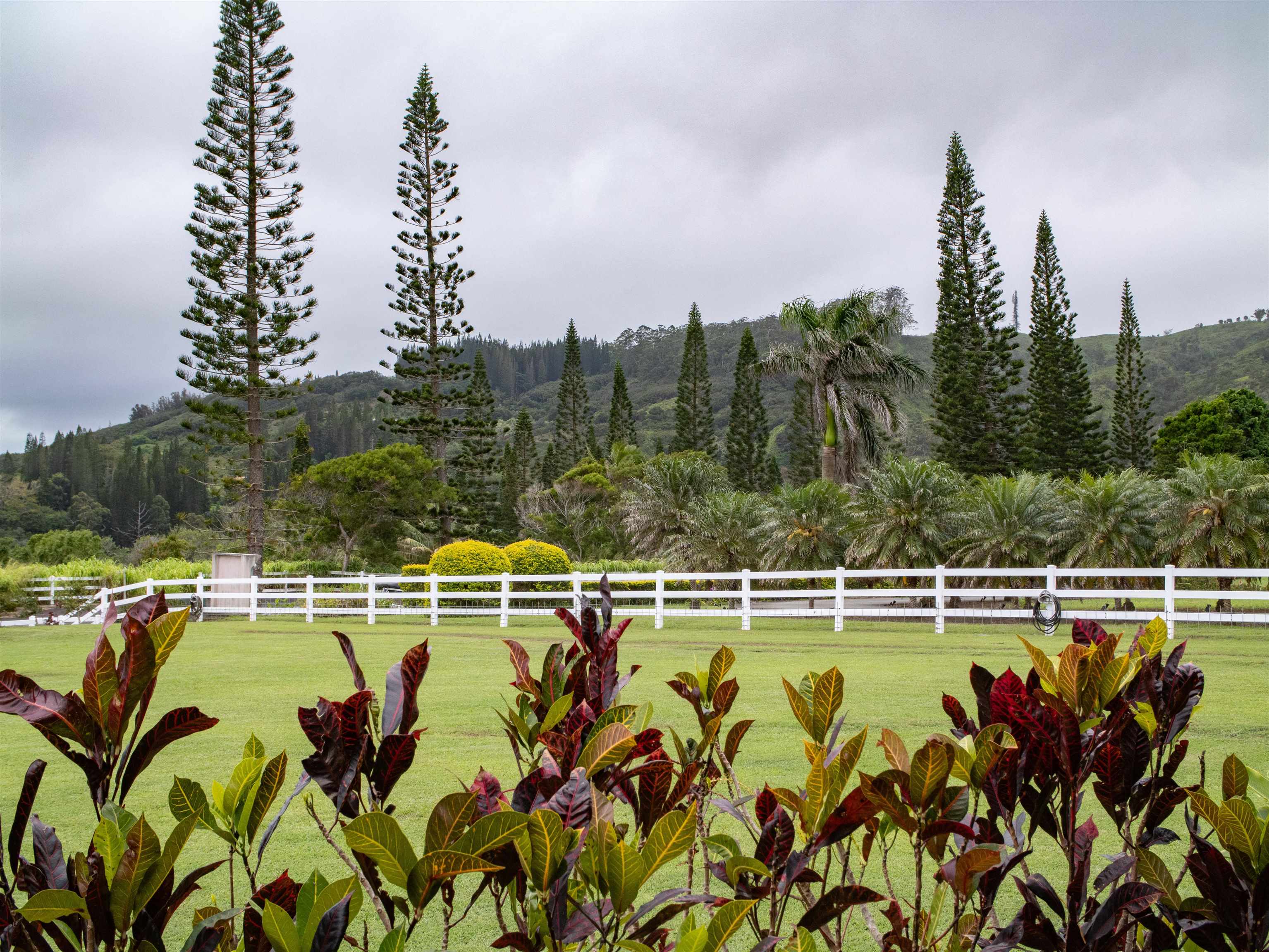 18 Lahaole Pl