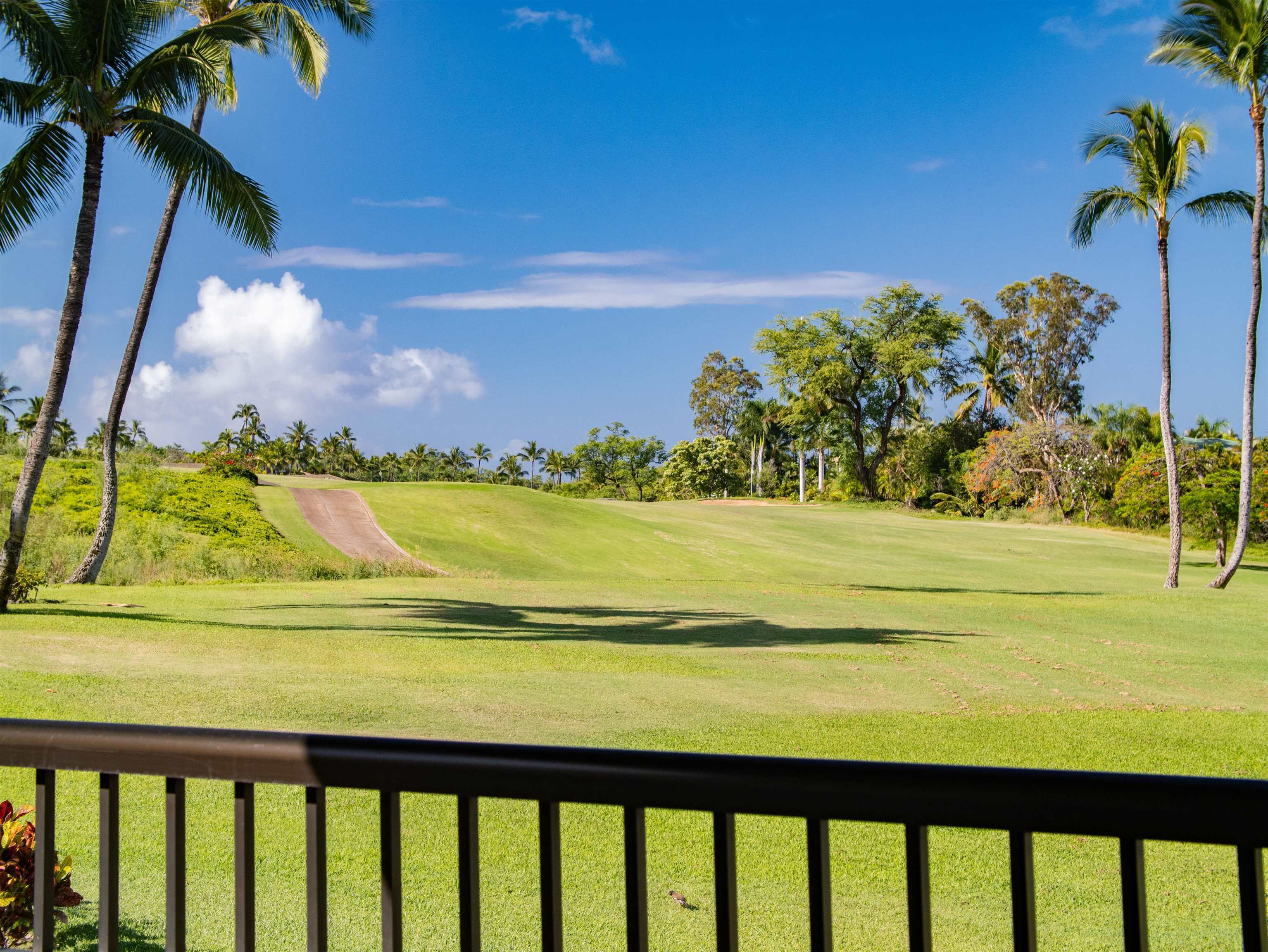 10 WAILEA EKOLU Pl Unit: 1204