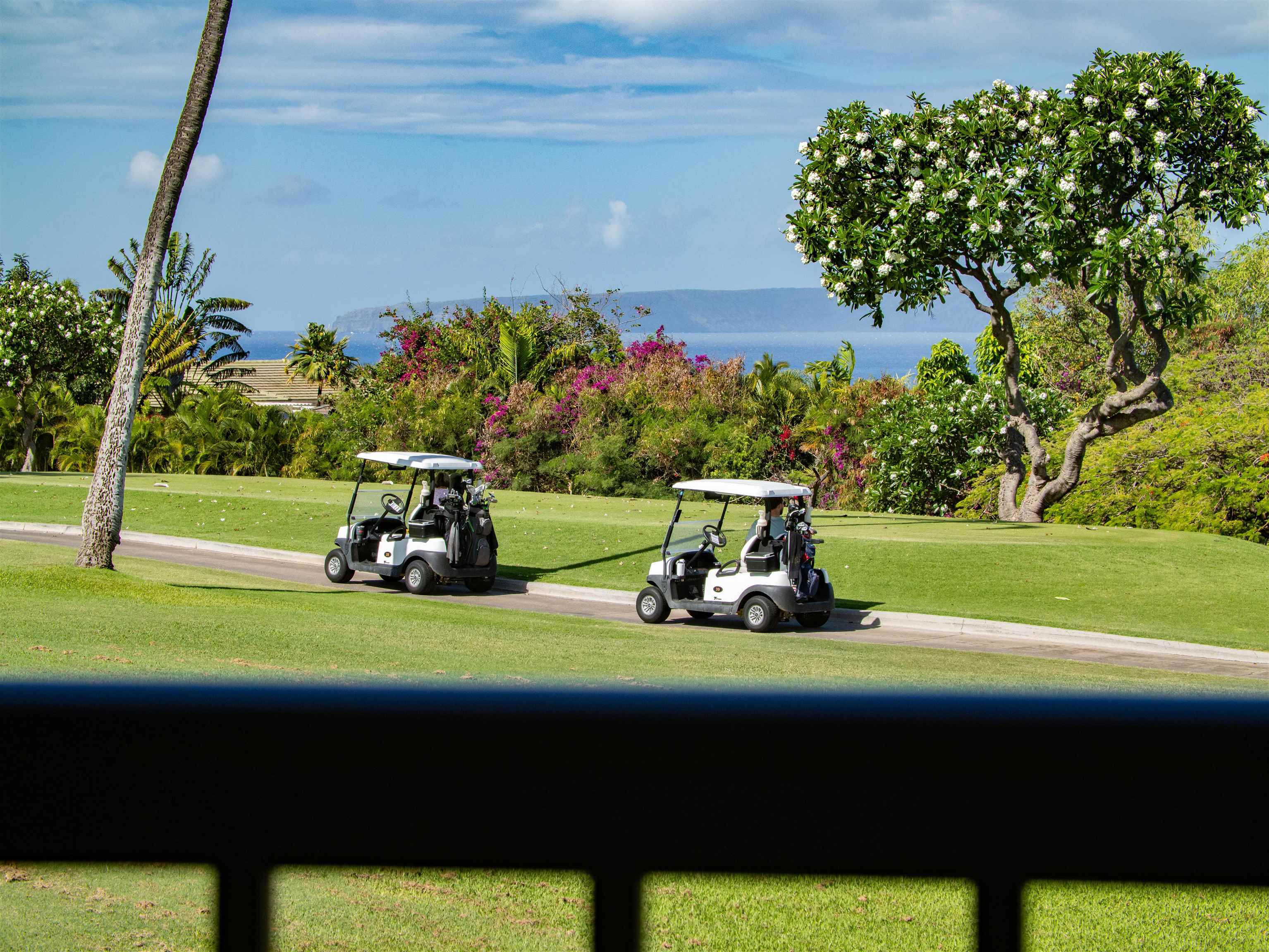 10 WAILEA EKOLU Pl Unit: 1204