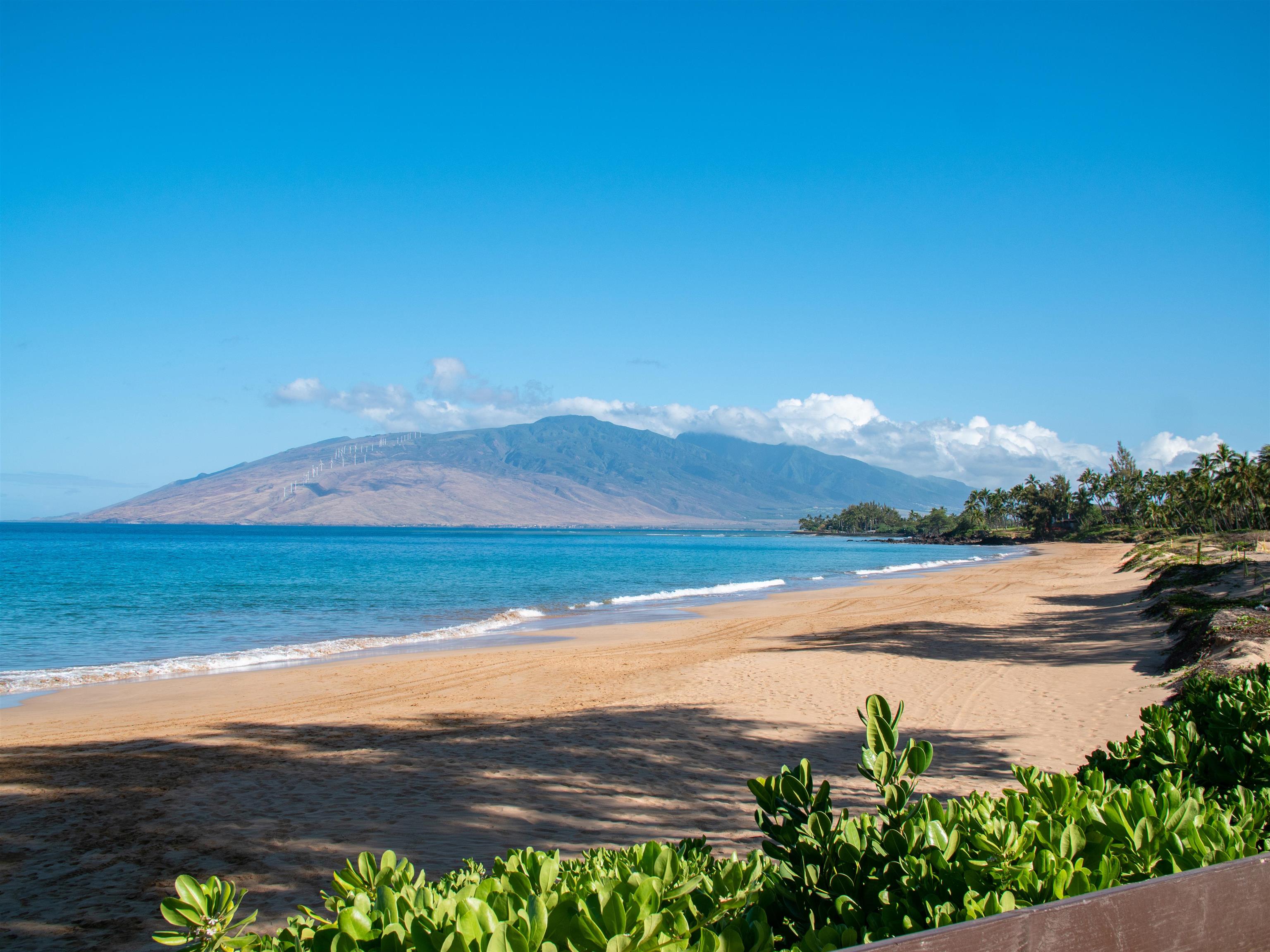 2387 S Kihei Rd Unit: B304