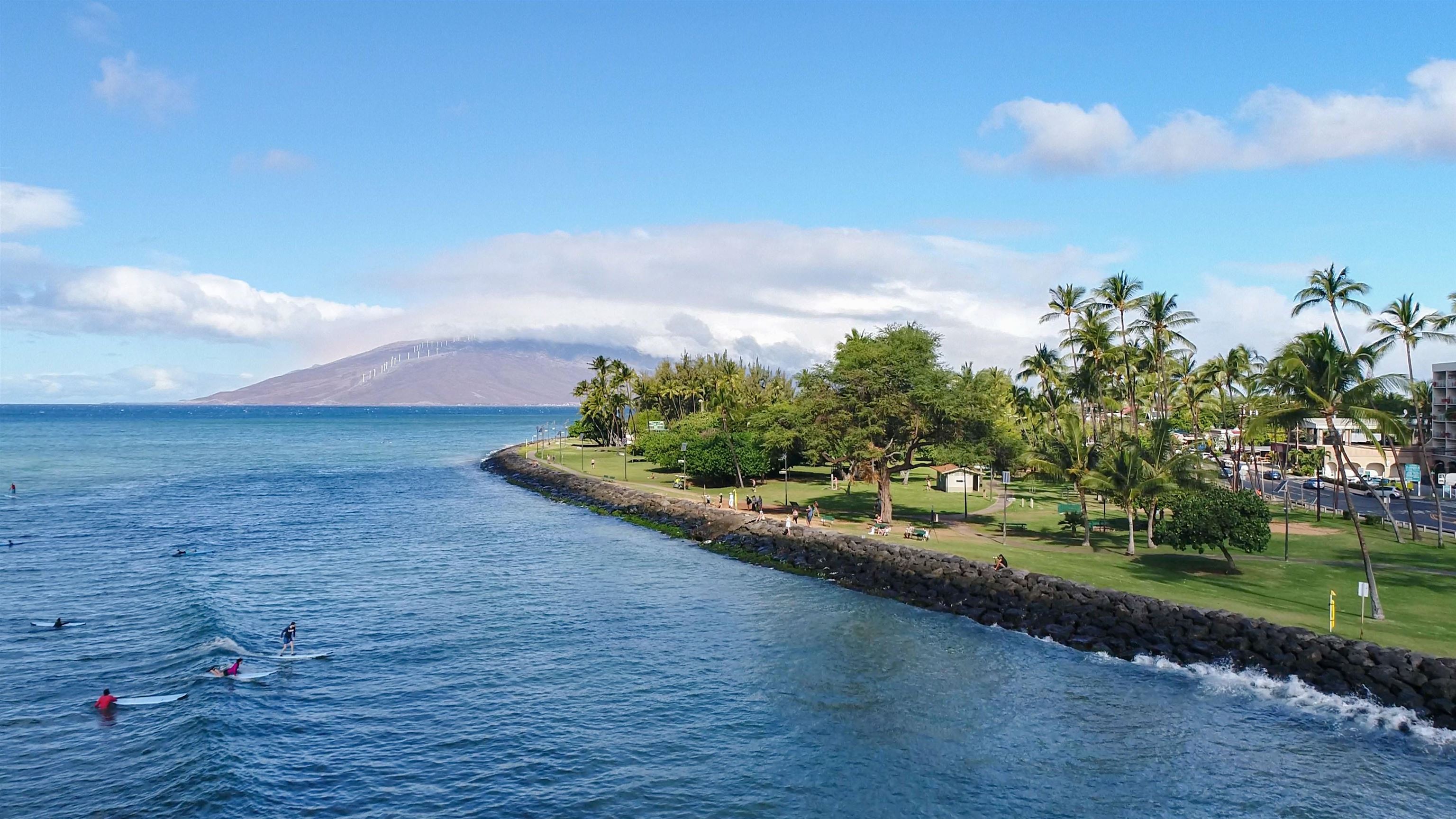 44 Kanani Rd Unit: 2-103