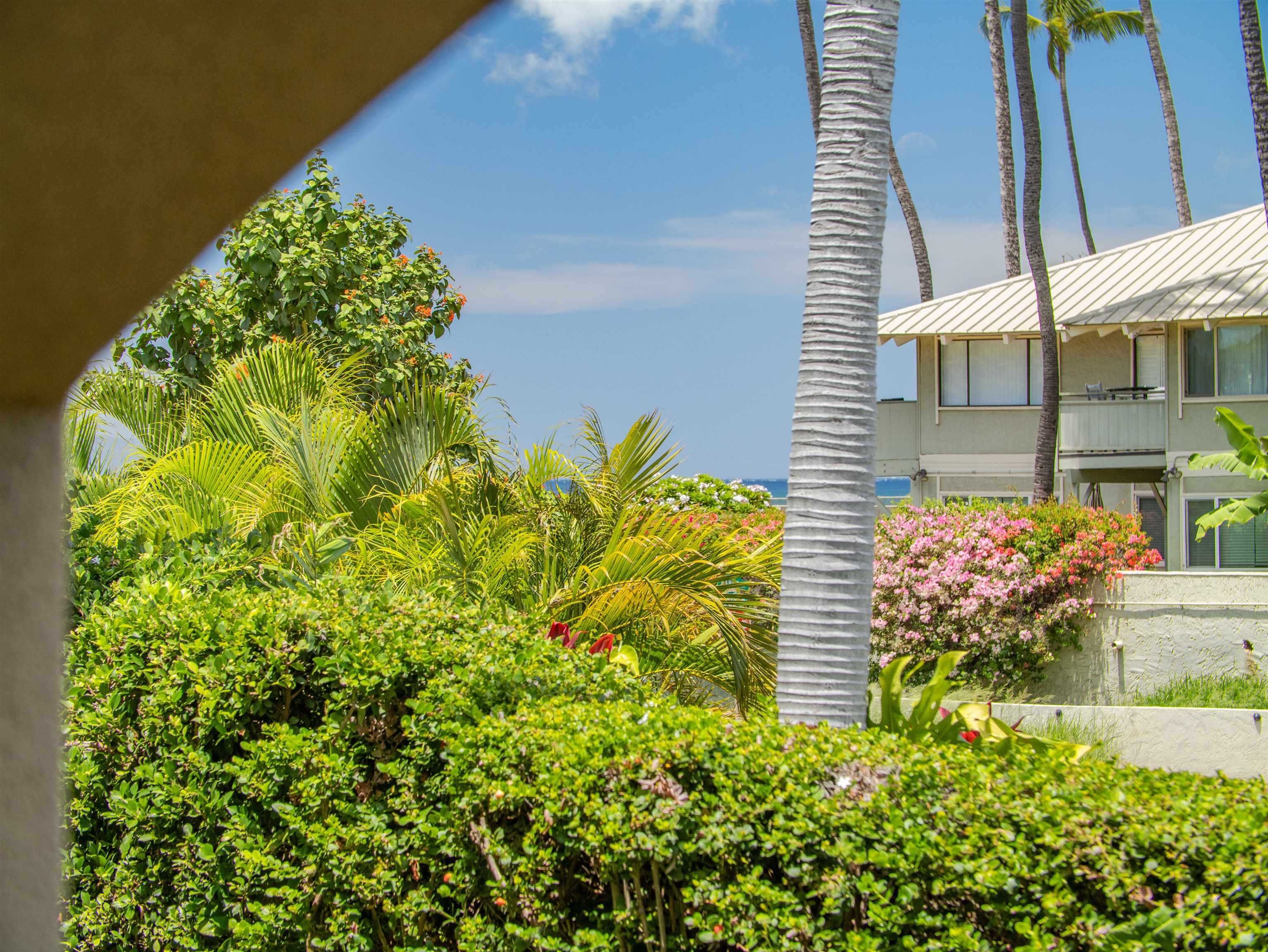 44 Kanani Rd Unit: 2-103