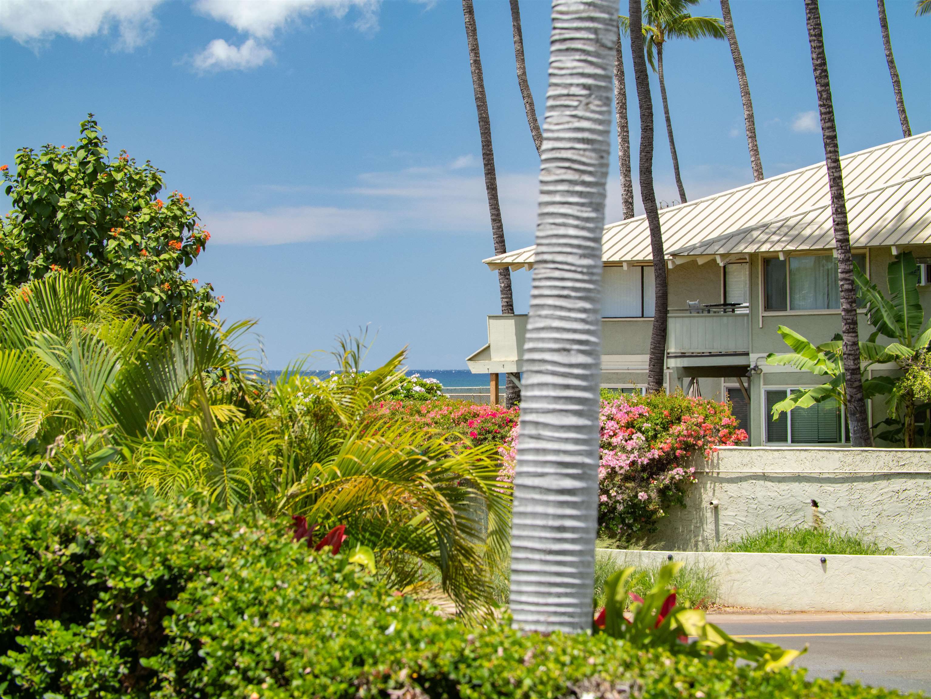 44 Kanani Rd Unit: 2-103