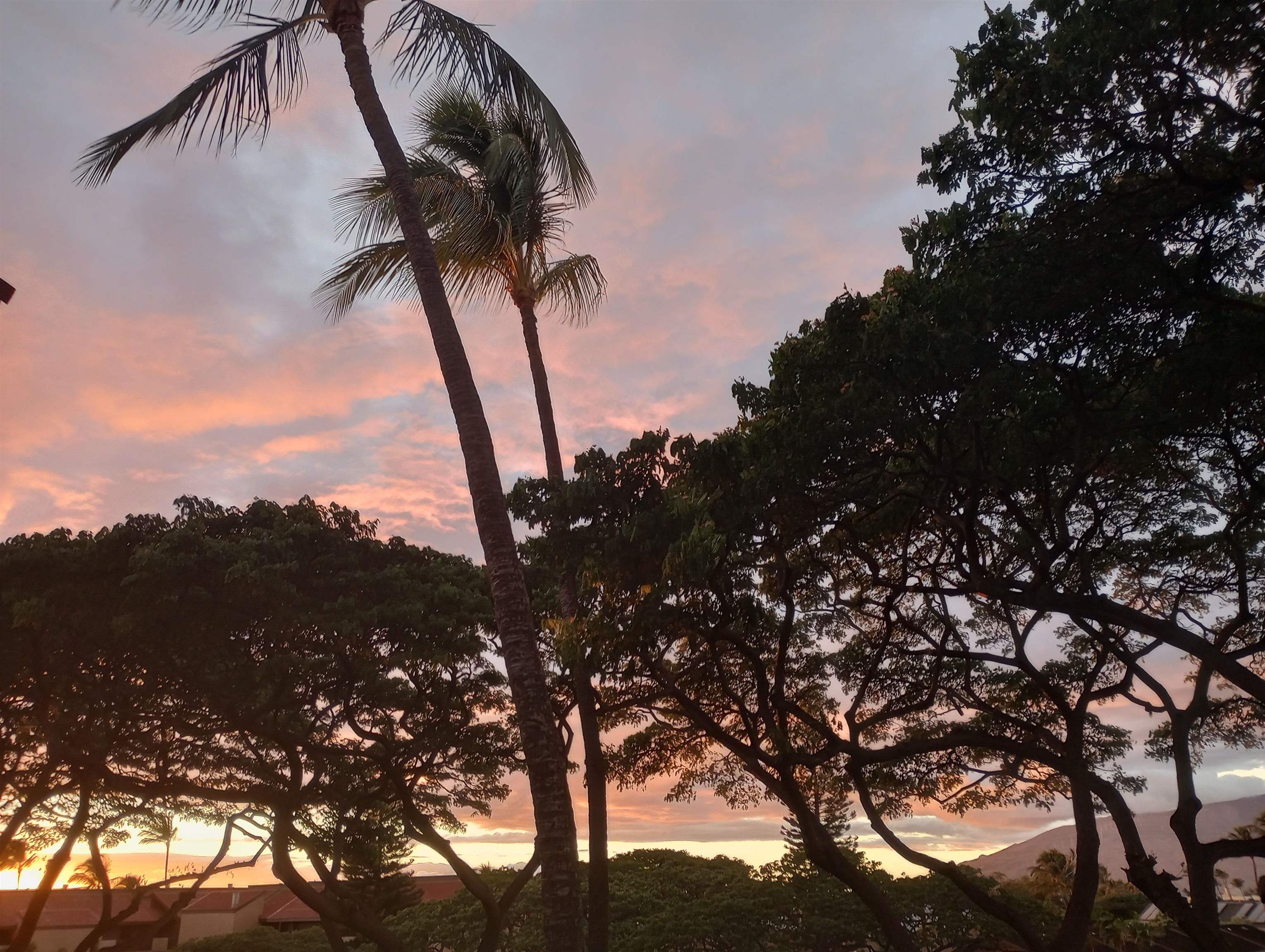 2191 S Kihei Rd Unit: 2320