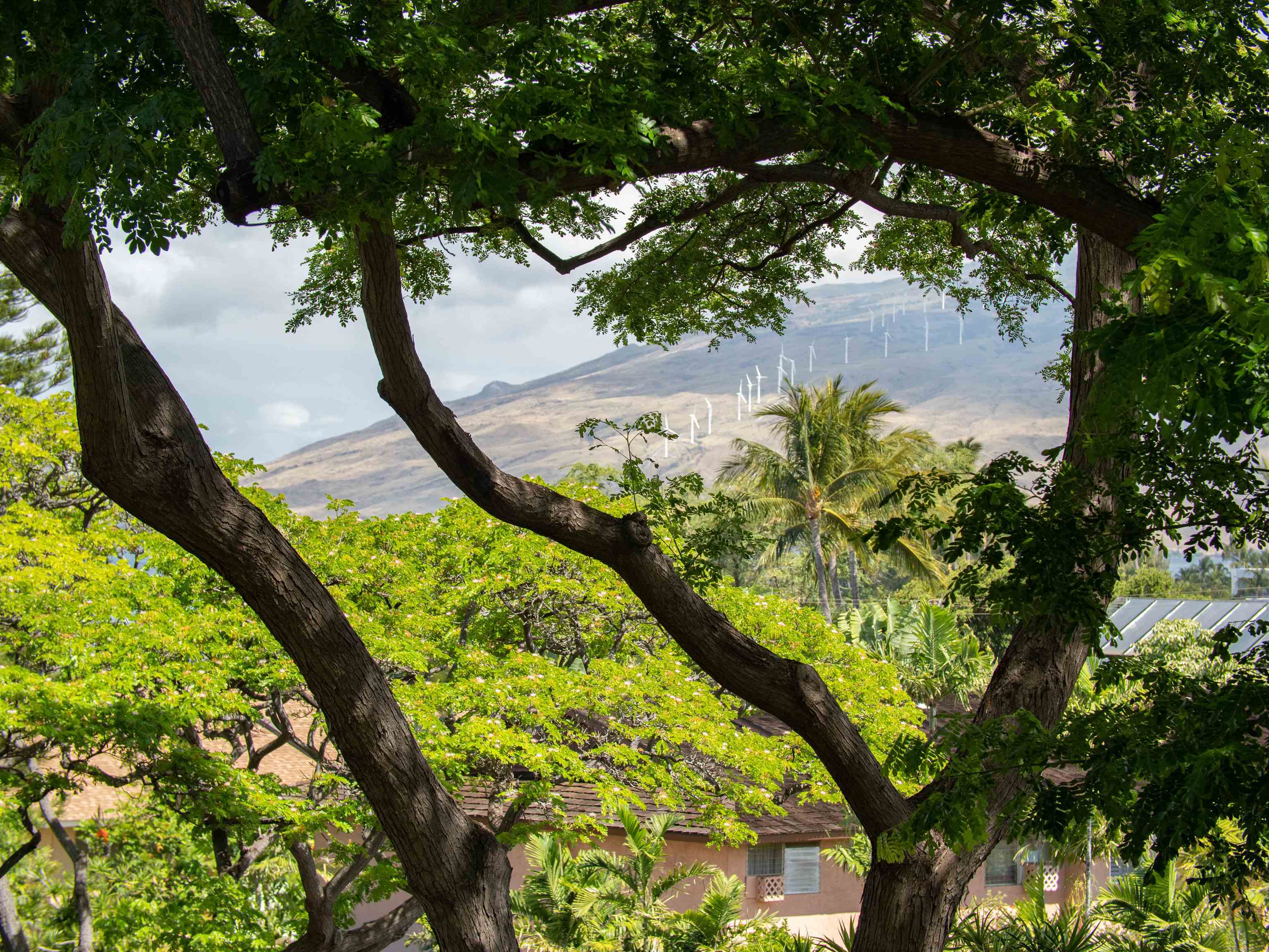 2191 S Kihei Rd Unit: 2320