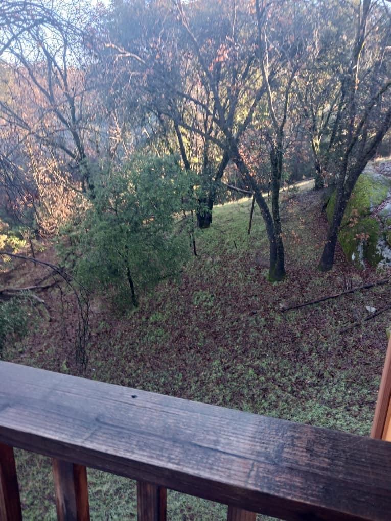 21461 Green Oaks Court