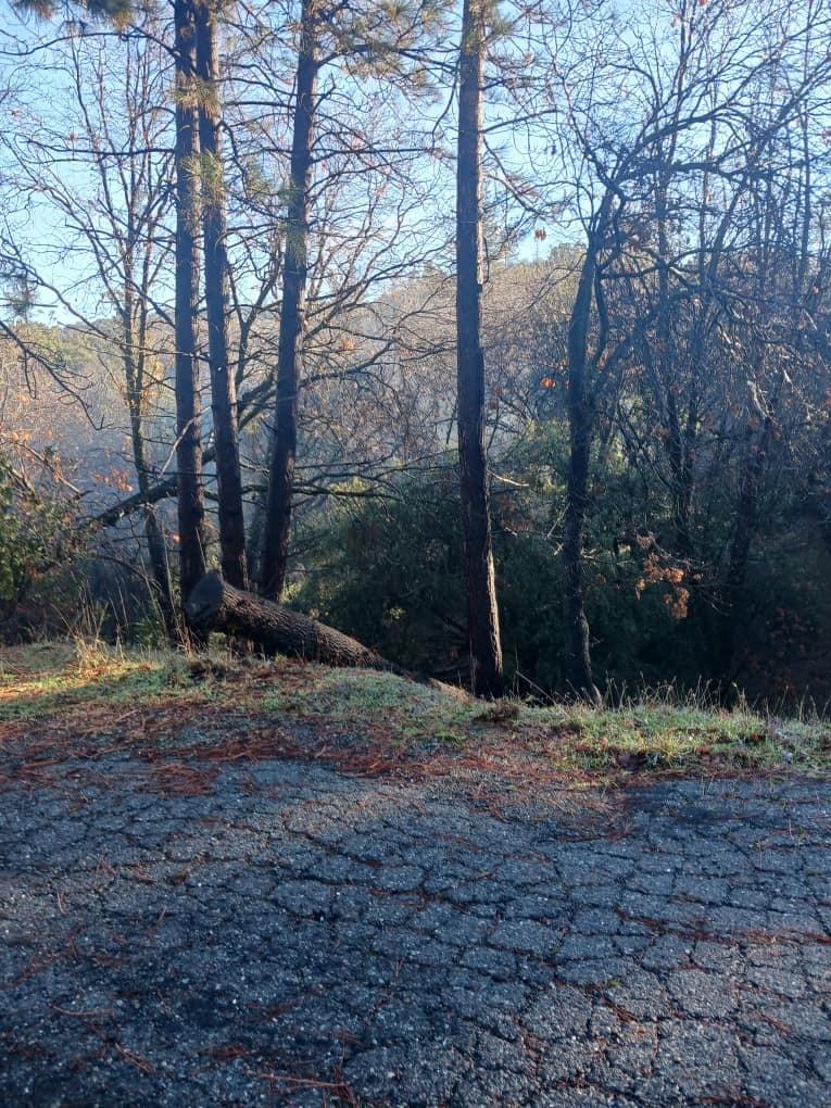 21461 Green Oaks Court