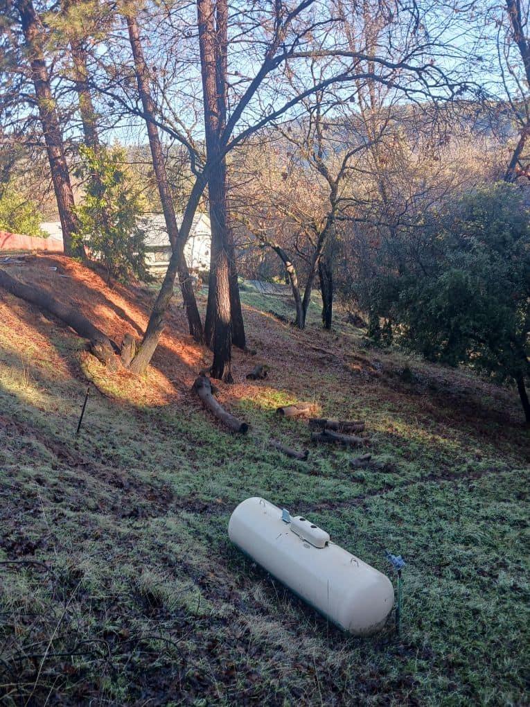 21461 Green Oaks Court