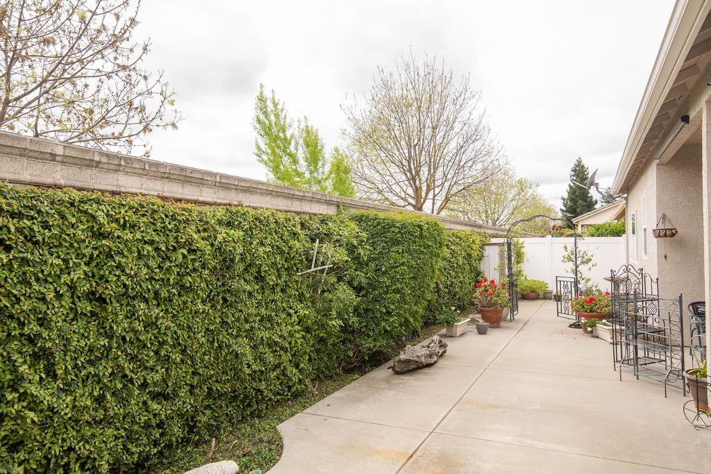 1337 Table Mountain Drive