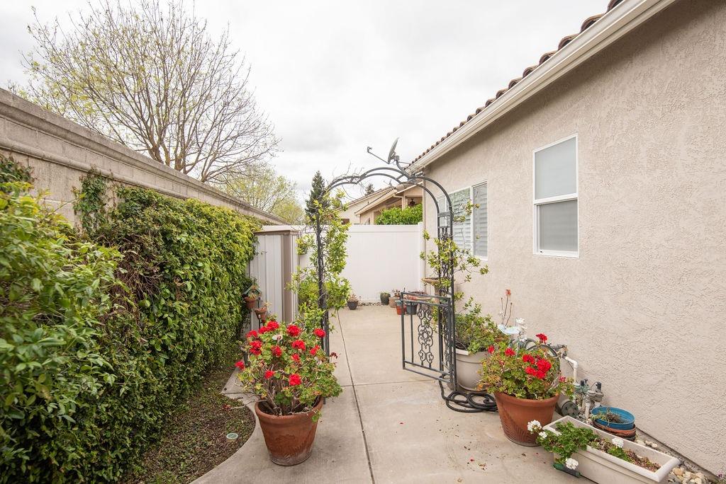 1337 Table Mountain Drive