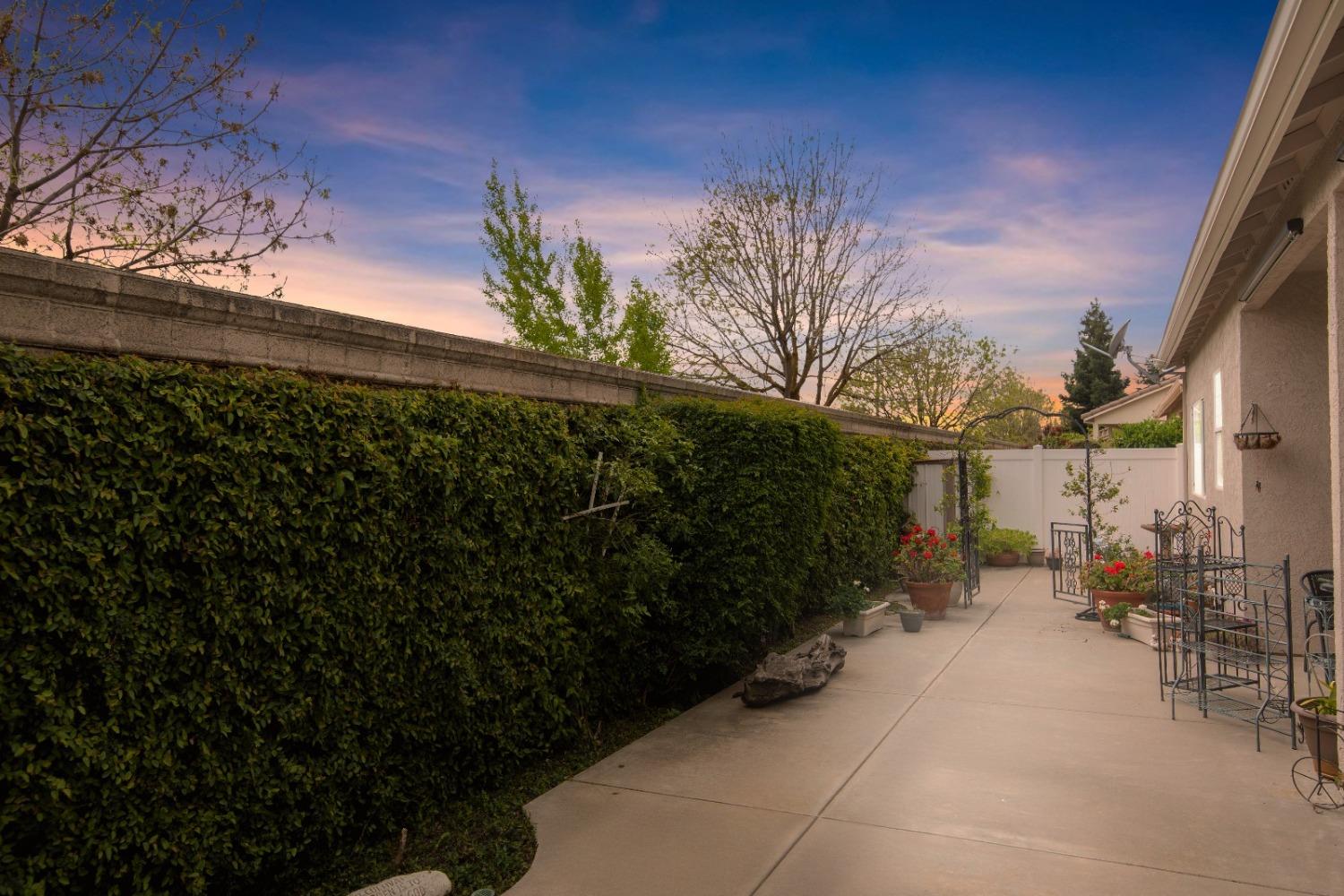 1337 Table Mountain Drive