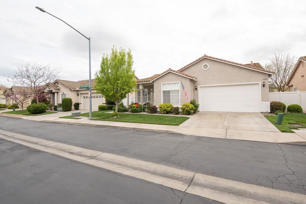 1337 Table Mountain Drive