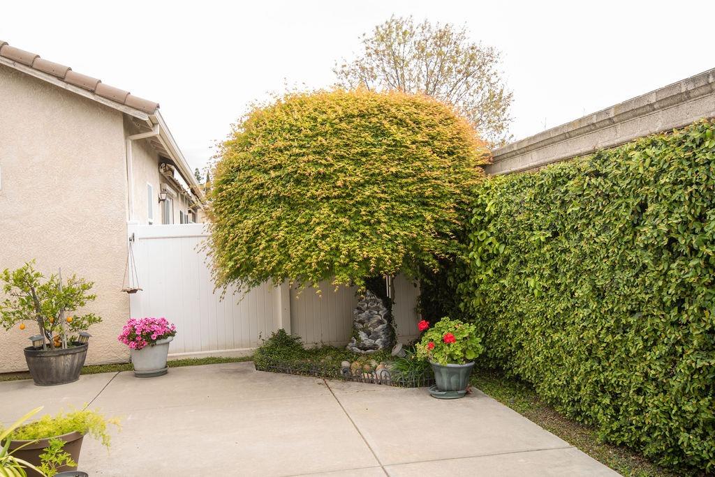 1337 Table Mountain Drive