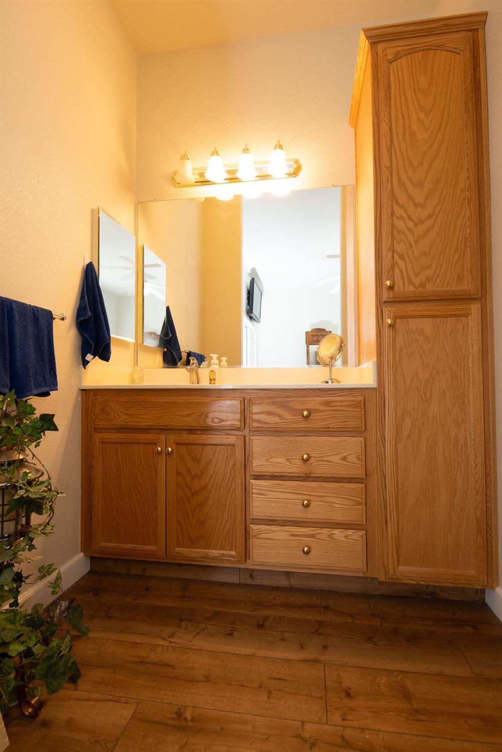 1337 Table Mountain Drive