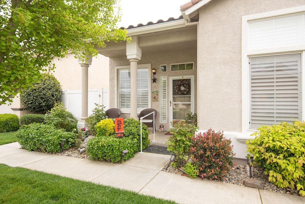 1337 Table Mountain Drive