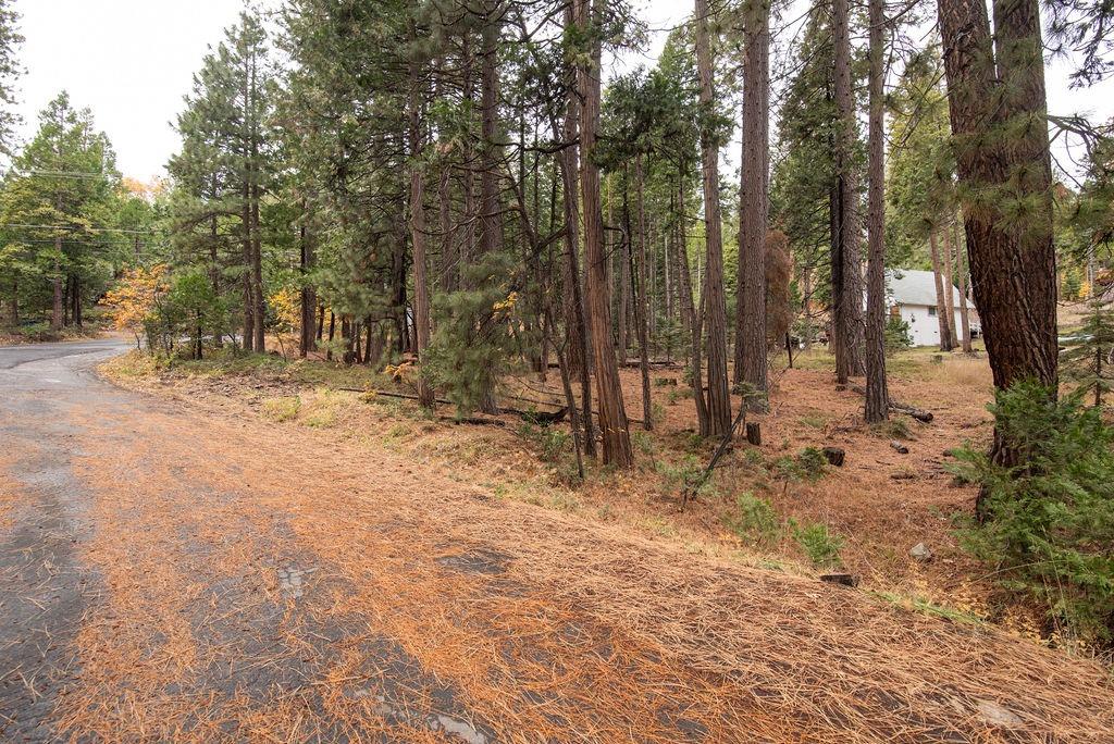 0 Lassen Drive