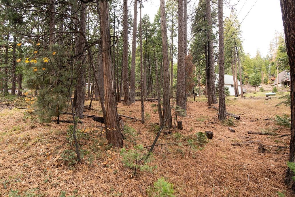 0 Lassen Drive
