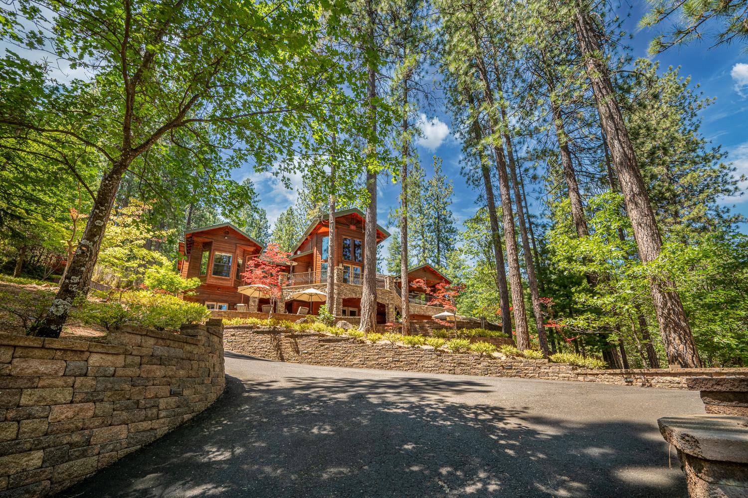 1834 Thunderbolt Trail