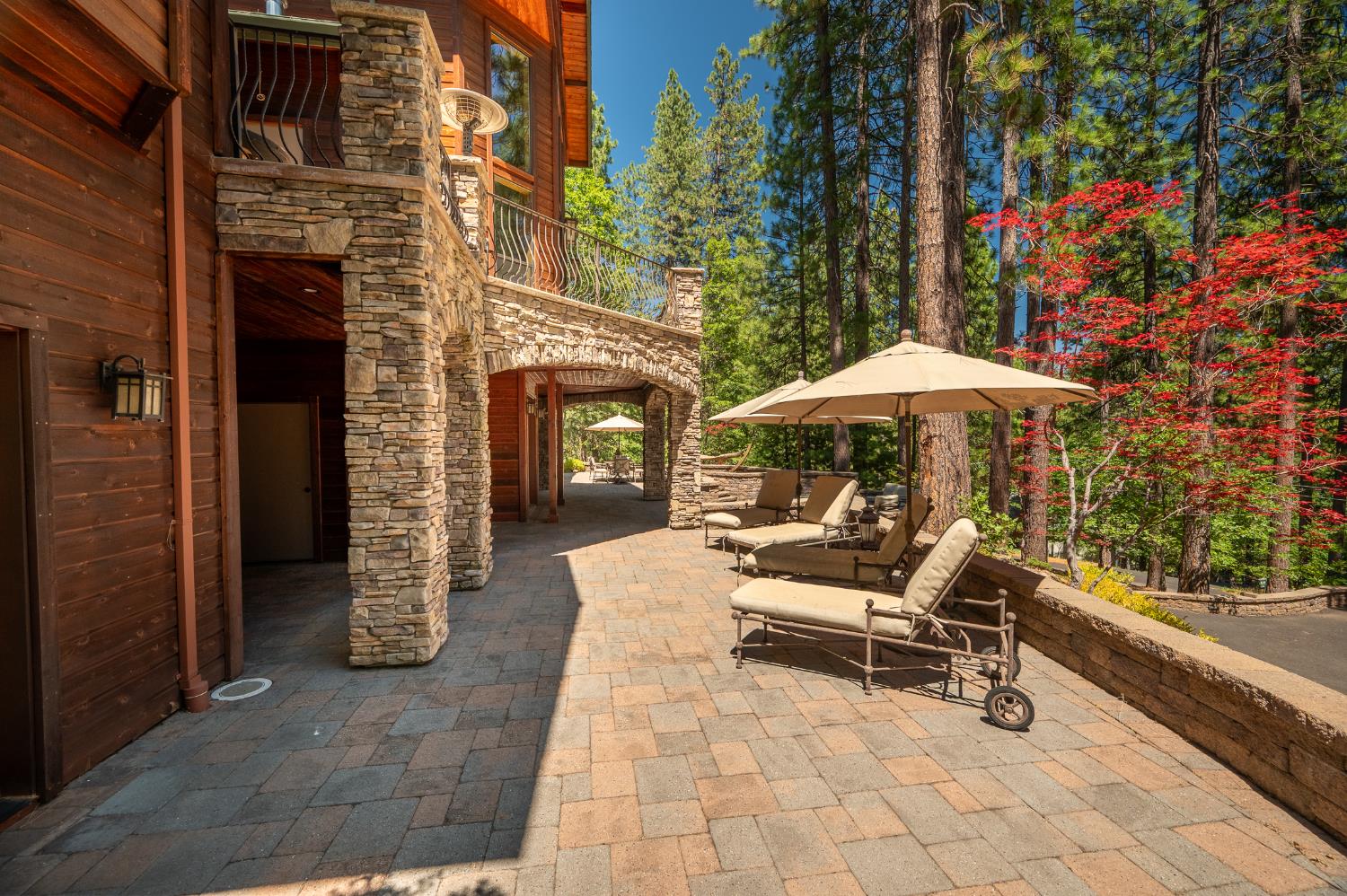 1834 Thunderbolt Trail