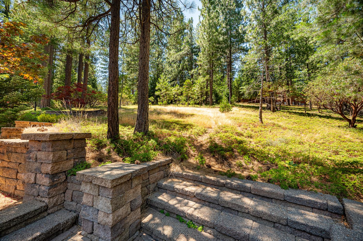 1834 Thunderbolt Trail