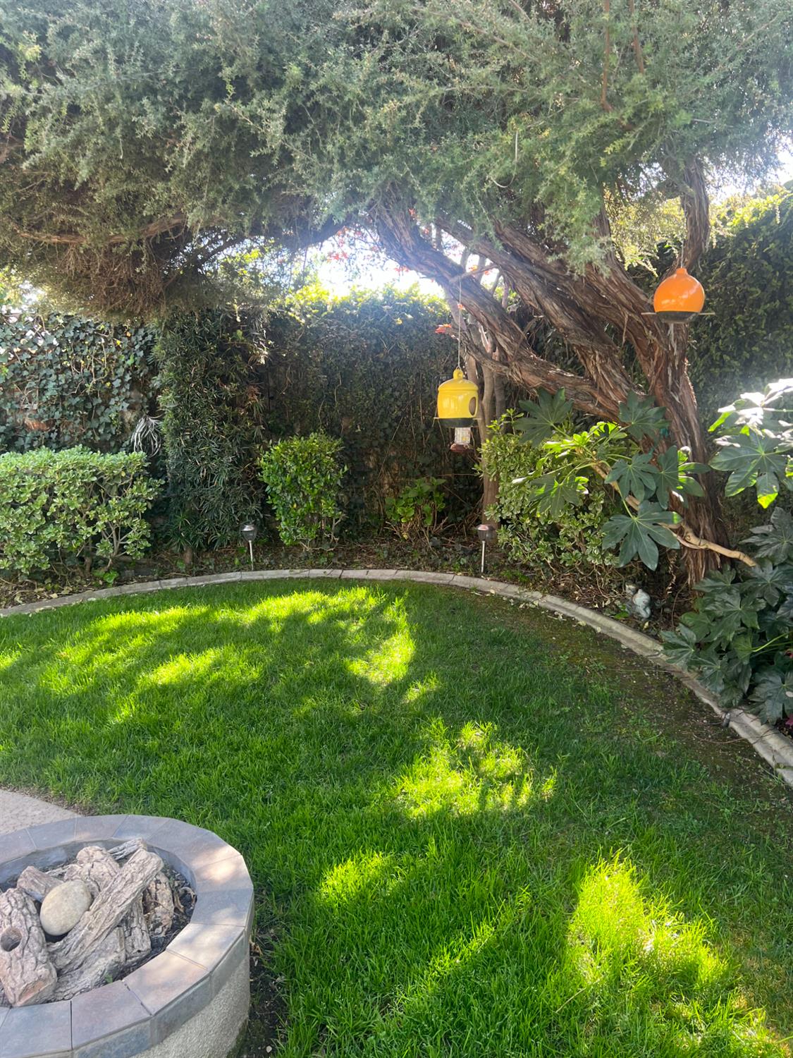 4021 Wheeler Peak Way