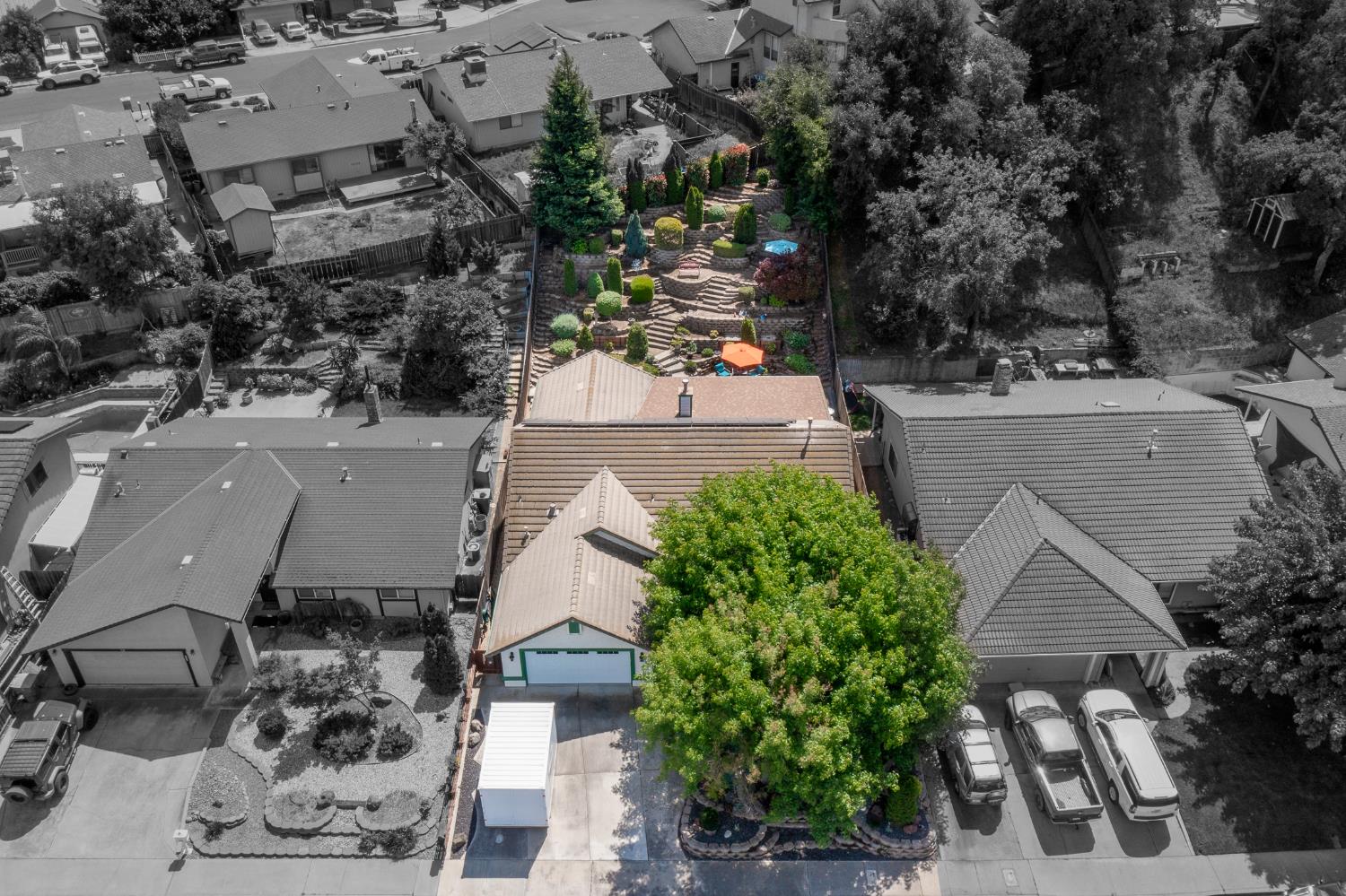 1253 River Bluff Drive