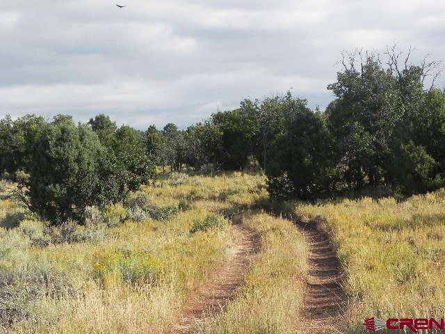 8587 County Road 141
